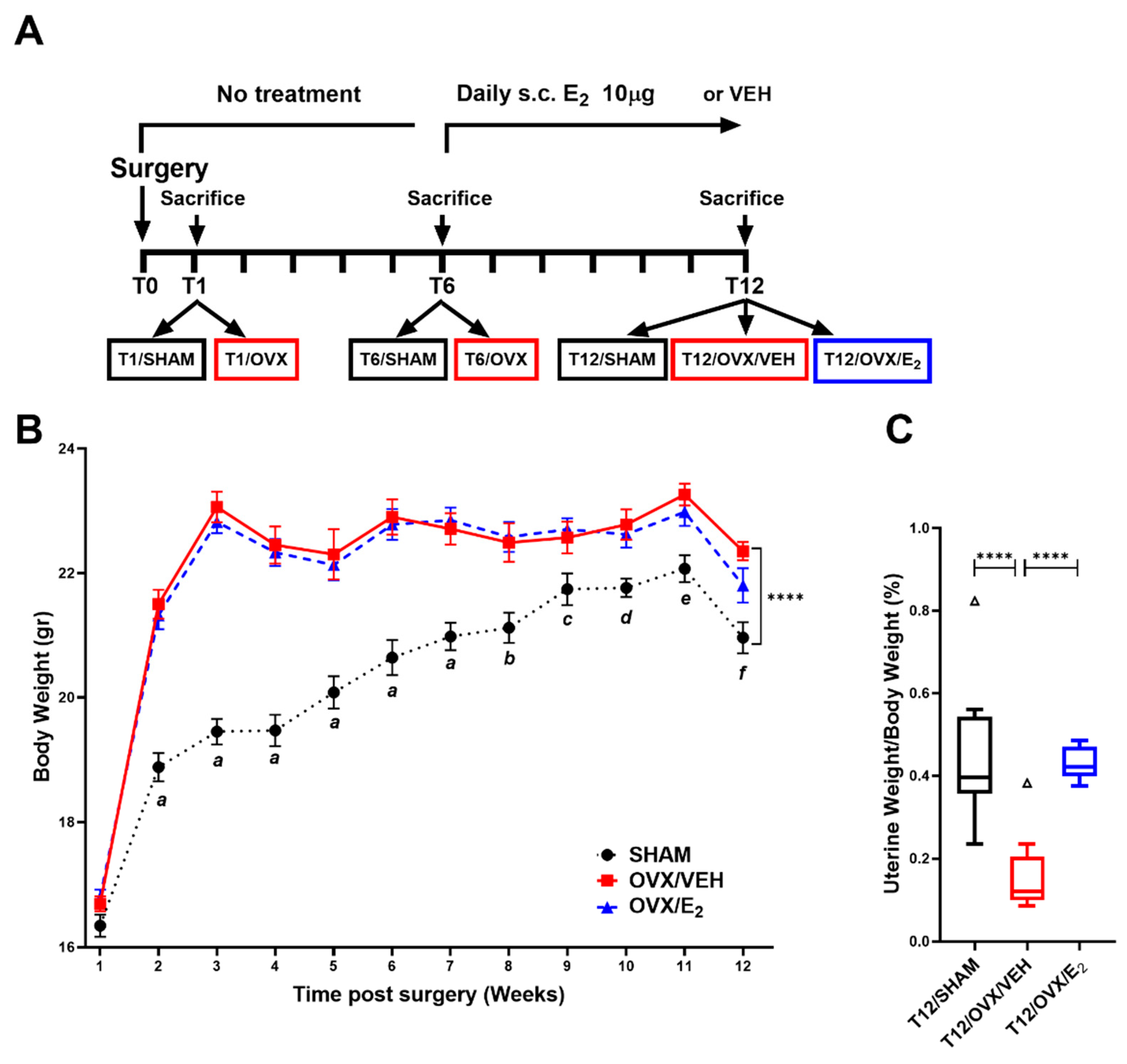 Ijms 25 05153 g001 Ijms 25 05153 g001