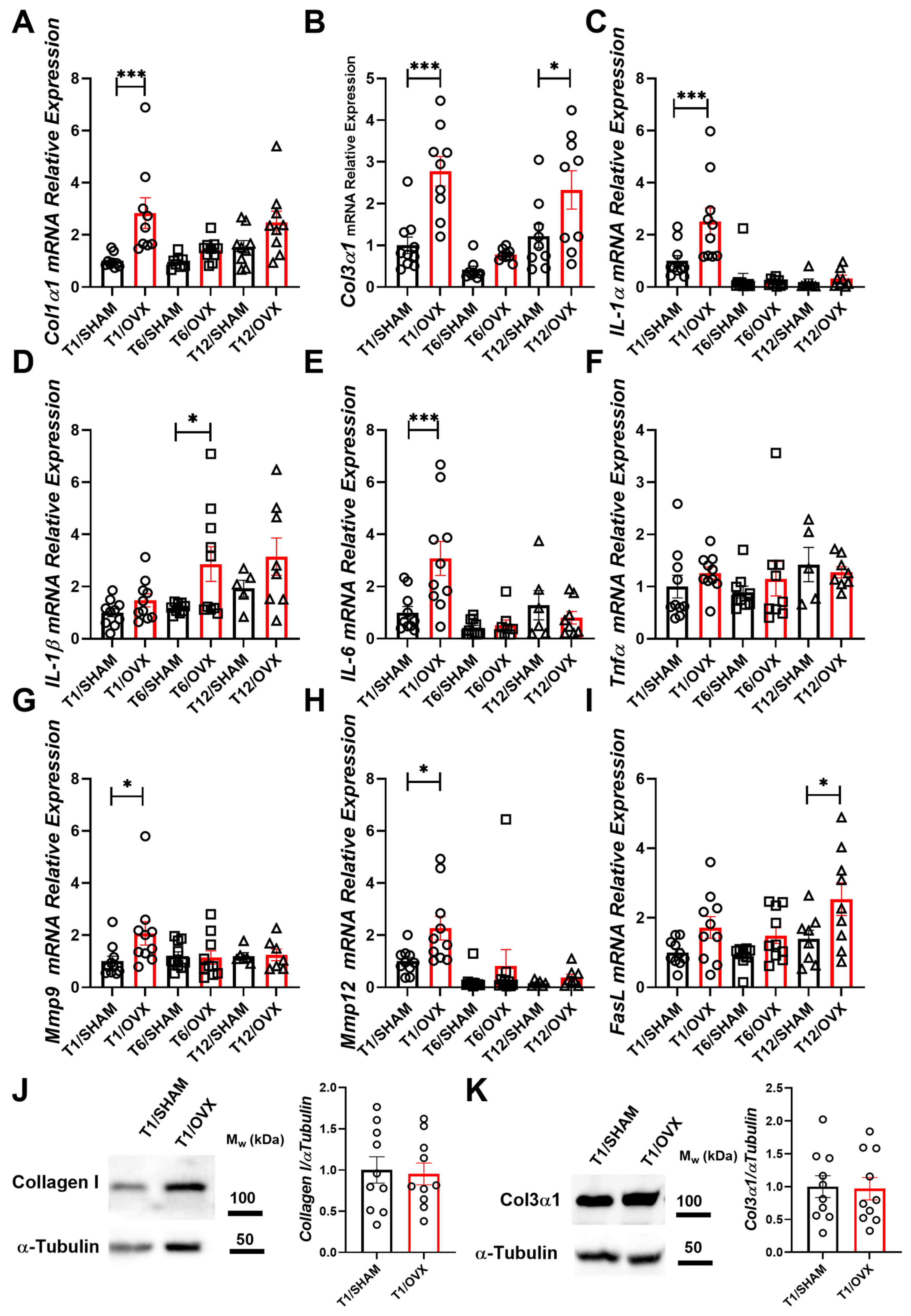 Ijms 25 05153 g002 Ijms 25 05153 g002