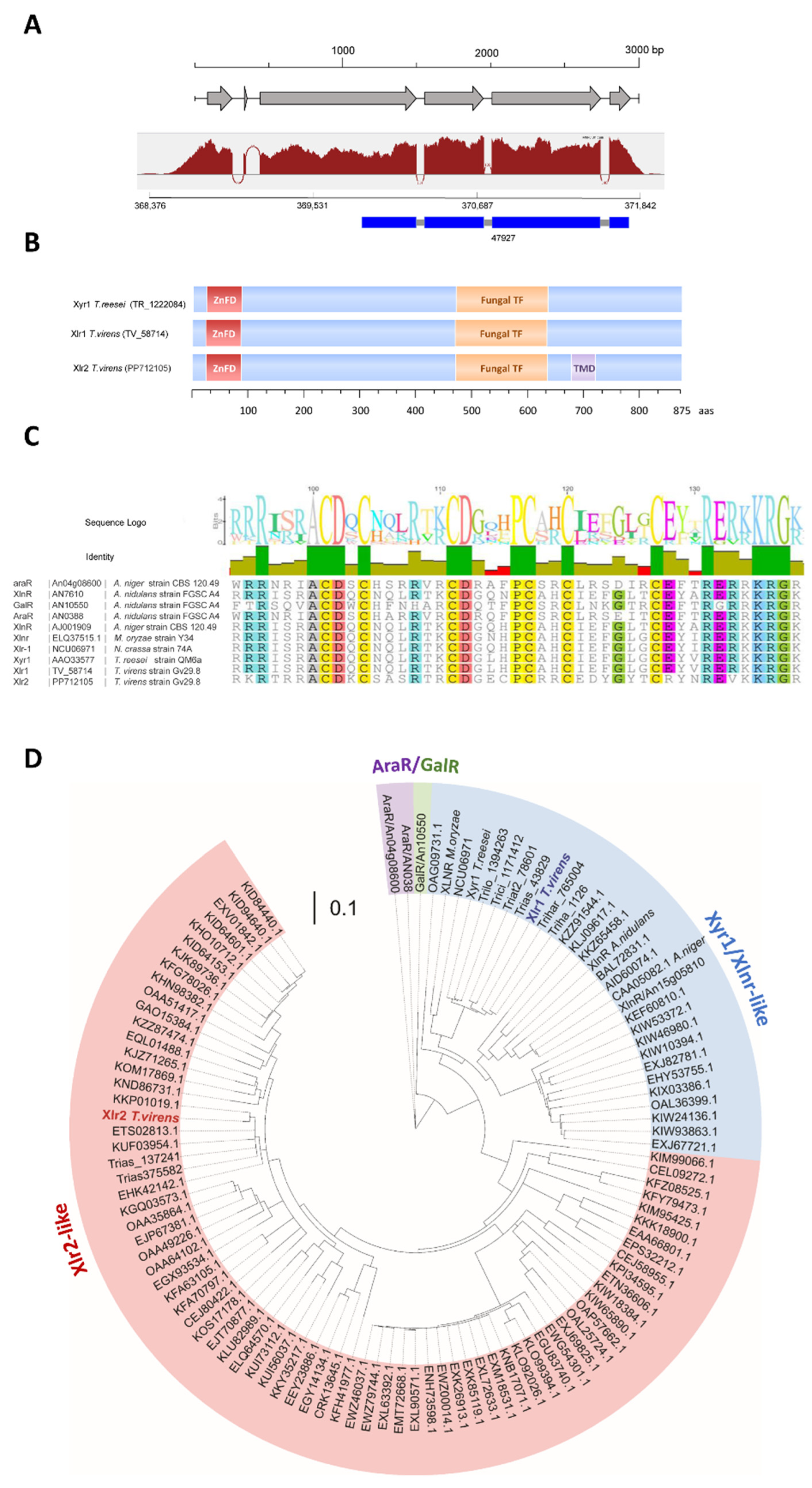 Ijms 25 05172 g001 Ijms 25 05172 g001
