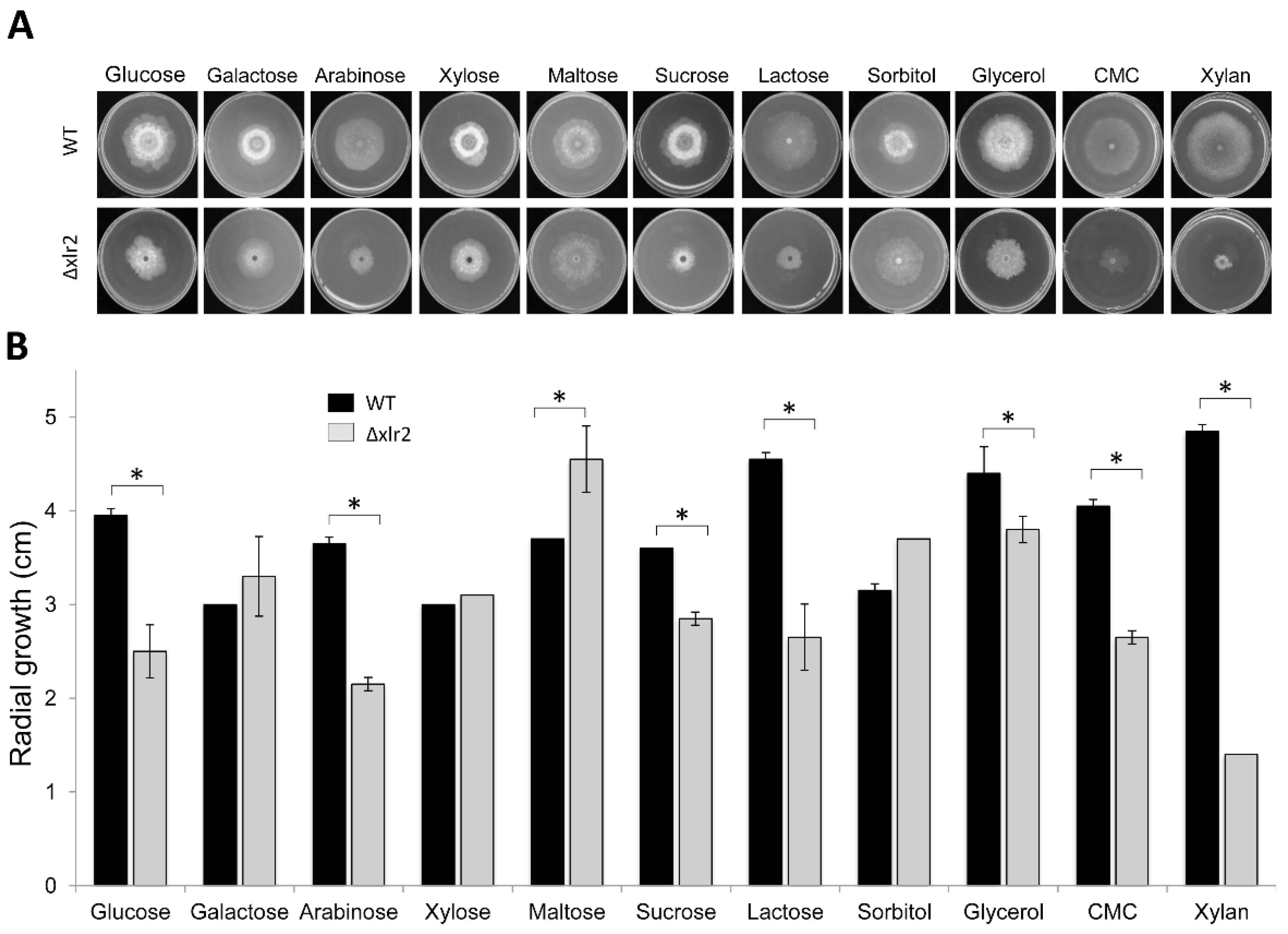 Ijms 25 05172 g002 Ijms 25 05172 g002