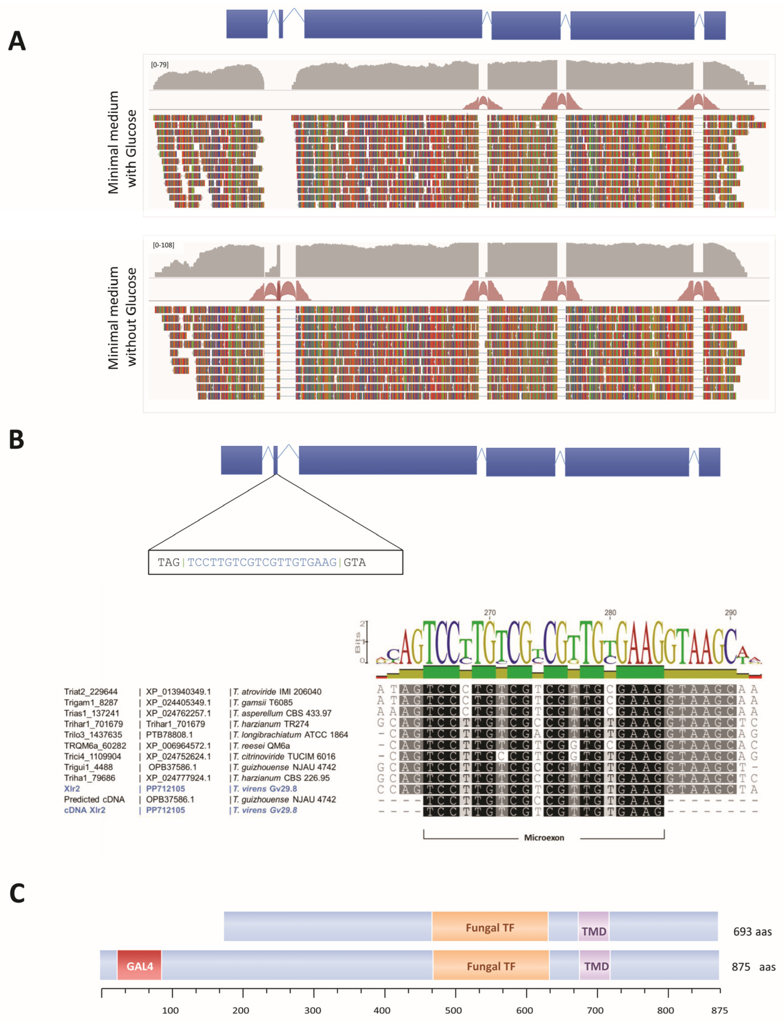 Ijms 25 05172 g004 Ijms 25 05172 g004