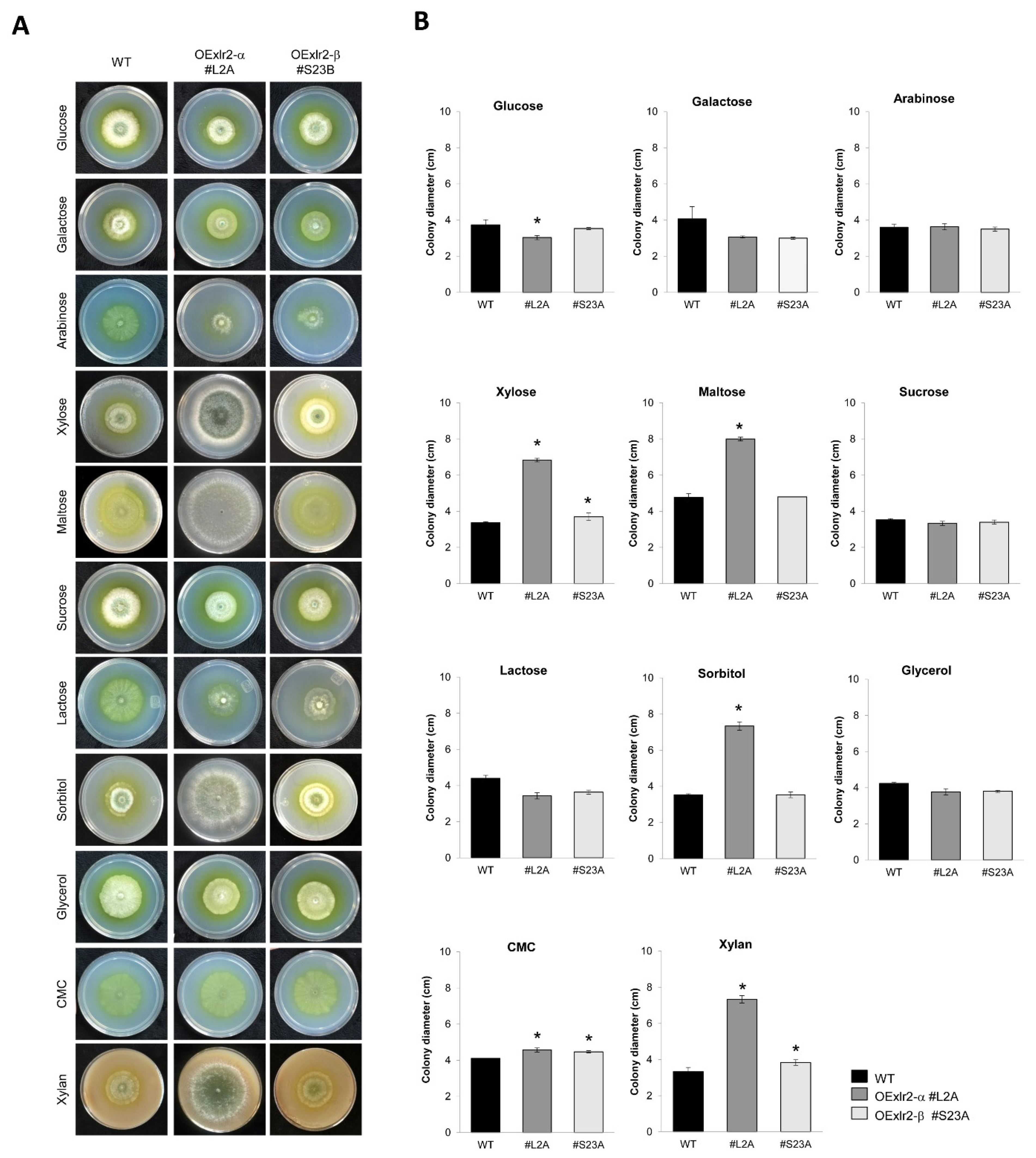 Ijms 25 05172 g006 Ijms 25 05172 g006