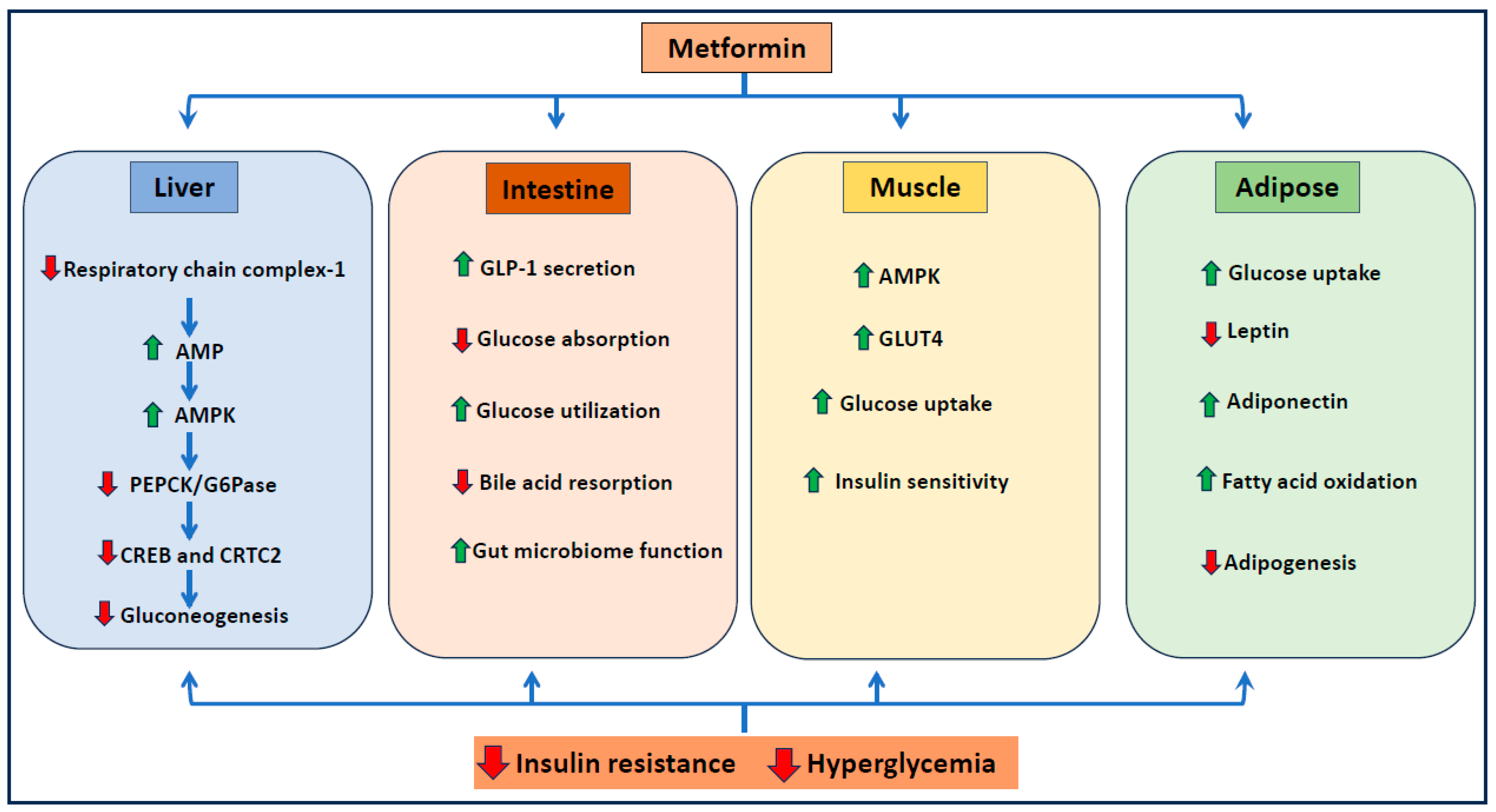 Ijms 25 05190 g001 Ijms 25 05190 g001