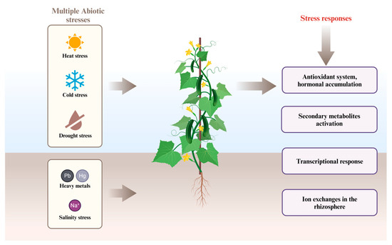 Surviving a Double-Edged Sword: Response of Horticultural