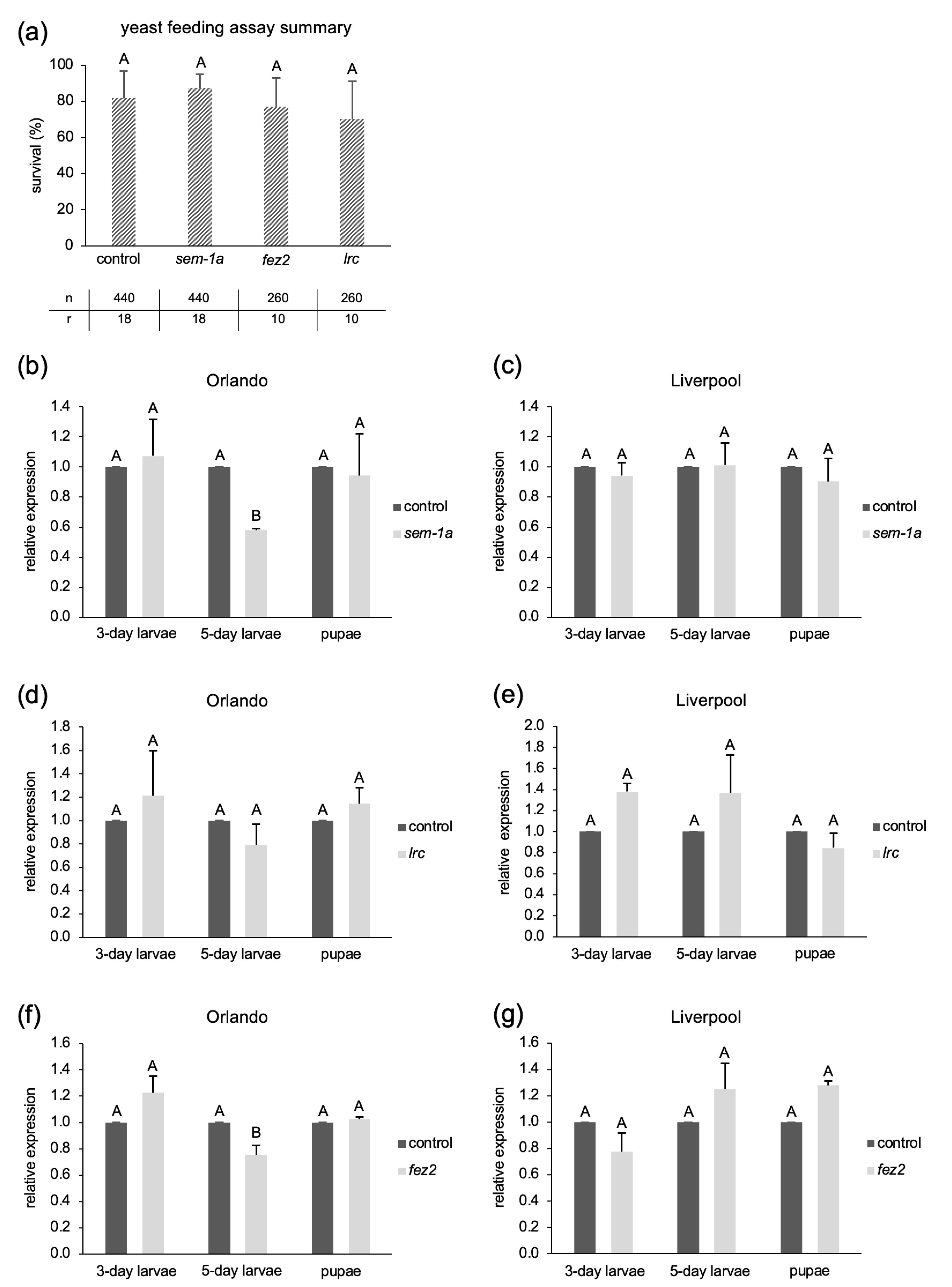 Challenges of Robust RNAi-Mediated Gene Silencing in Aedes