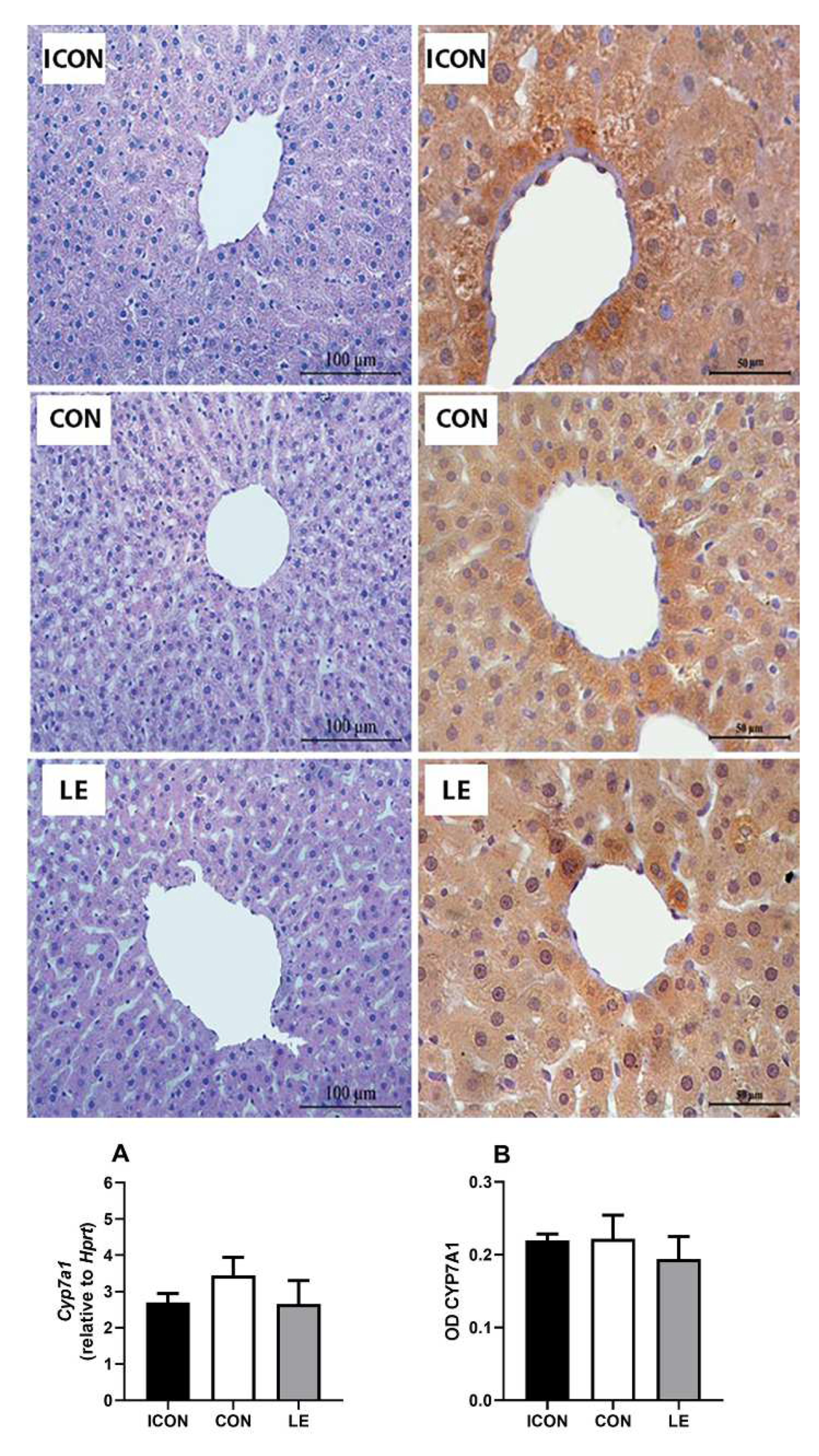 Ijms 25 05221 g004 Ijms 25 05221 g004