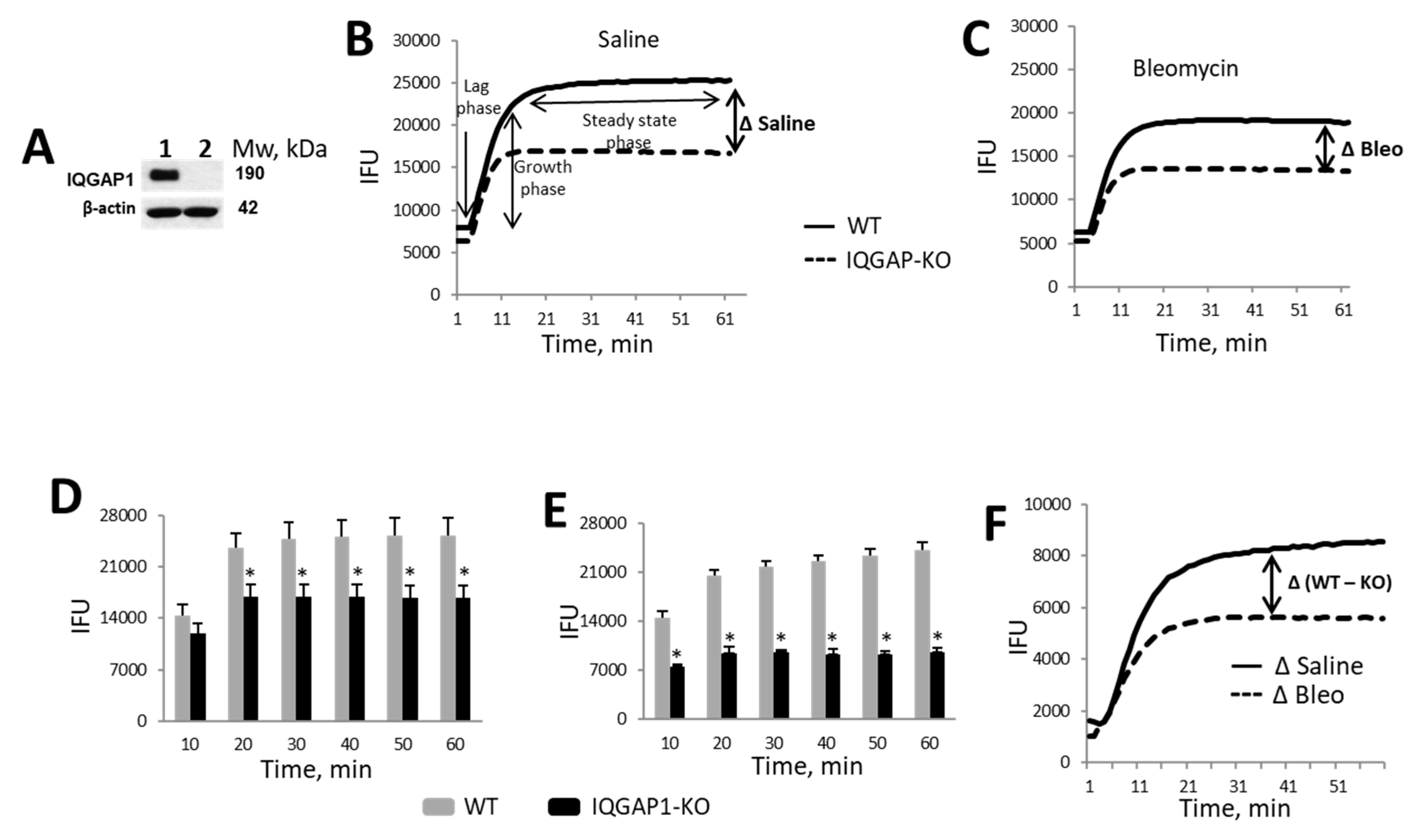 Ijms 25 05244 g001 Ijms 25 05244 g001