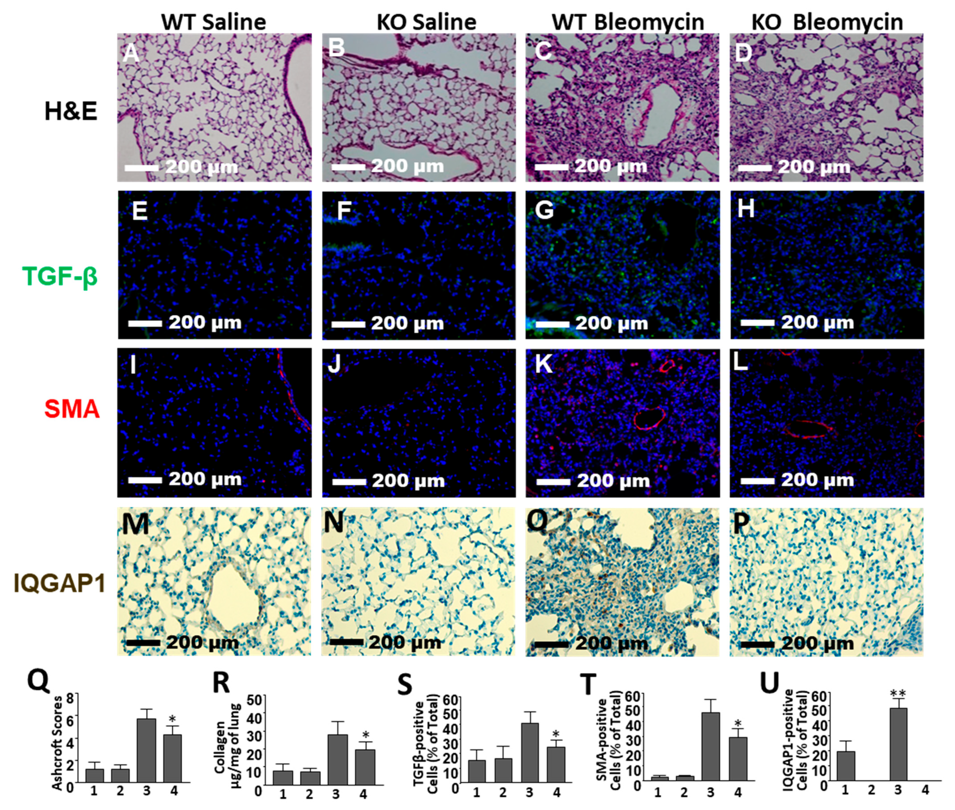 Ijms 25 05244 g002 Ijms 25 05244 g002