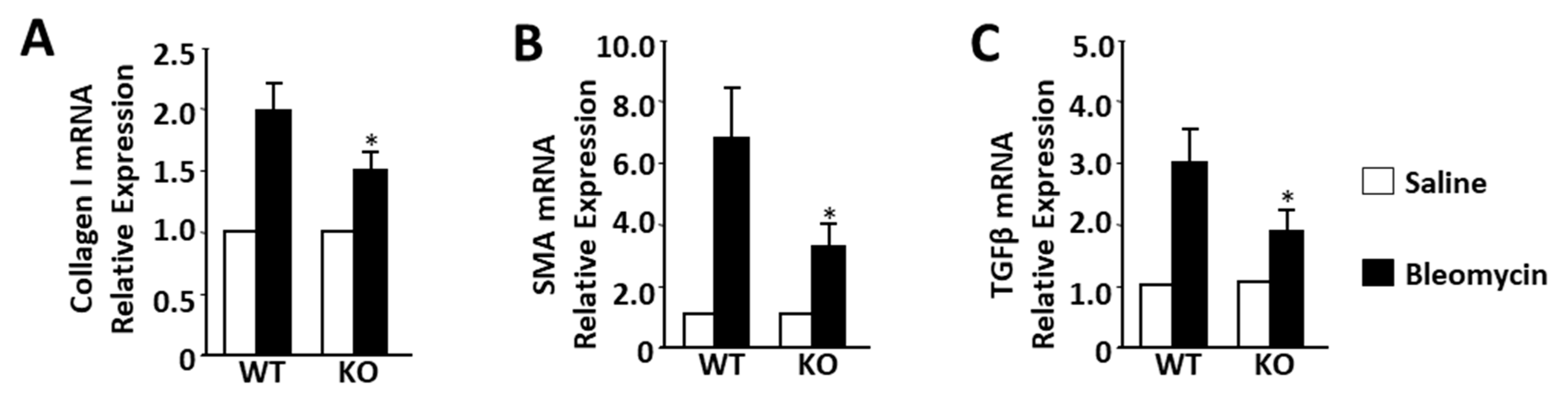 Ijms 25 05244 g003 Ijms 25 05244 g003