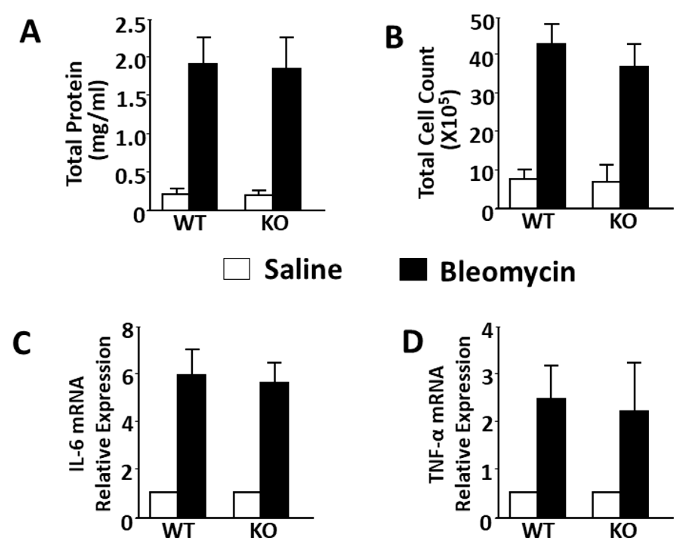 Ijms 25 05244 g004 Ijms 25 05244 g004