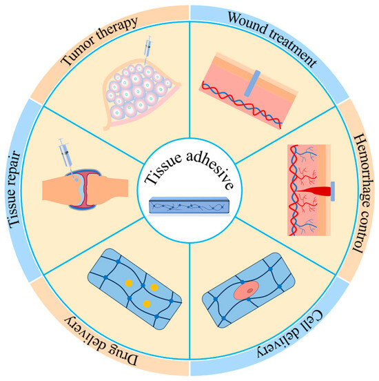 Recent Advances in the Degradability and Applications of Recent Advances in the Degradability and Applications of