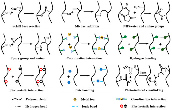 Heat Shock Protein 70 (HSP70) Induction: Chaperonotherapy
