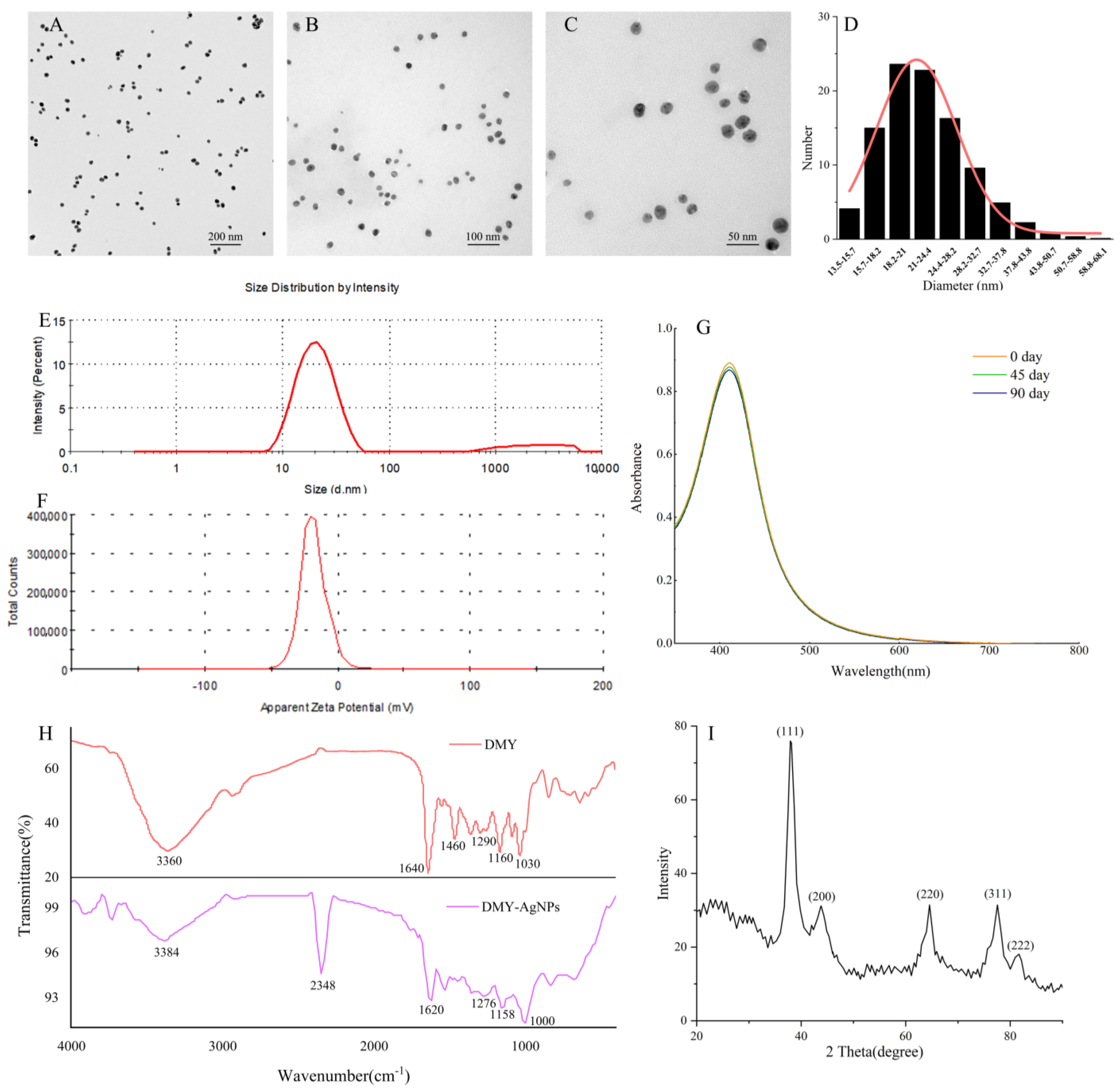 Ijms 25 05255 g002 Ijms 25 05255 g002