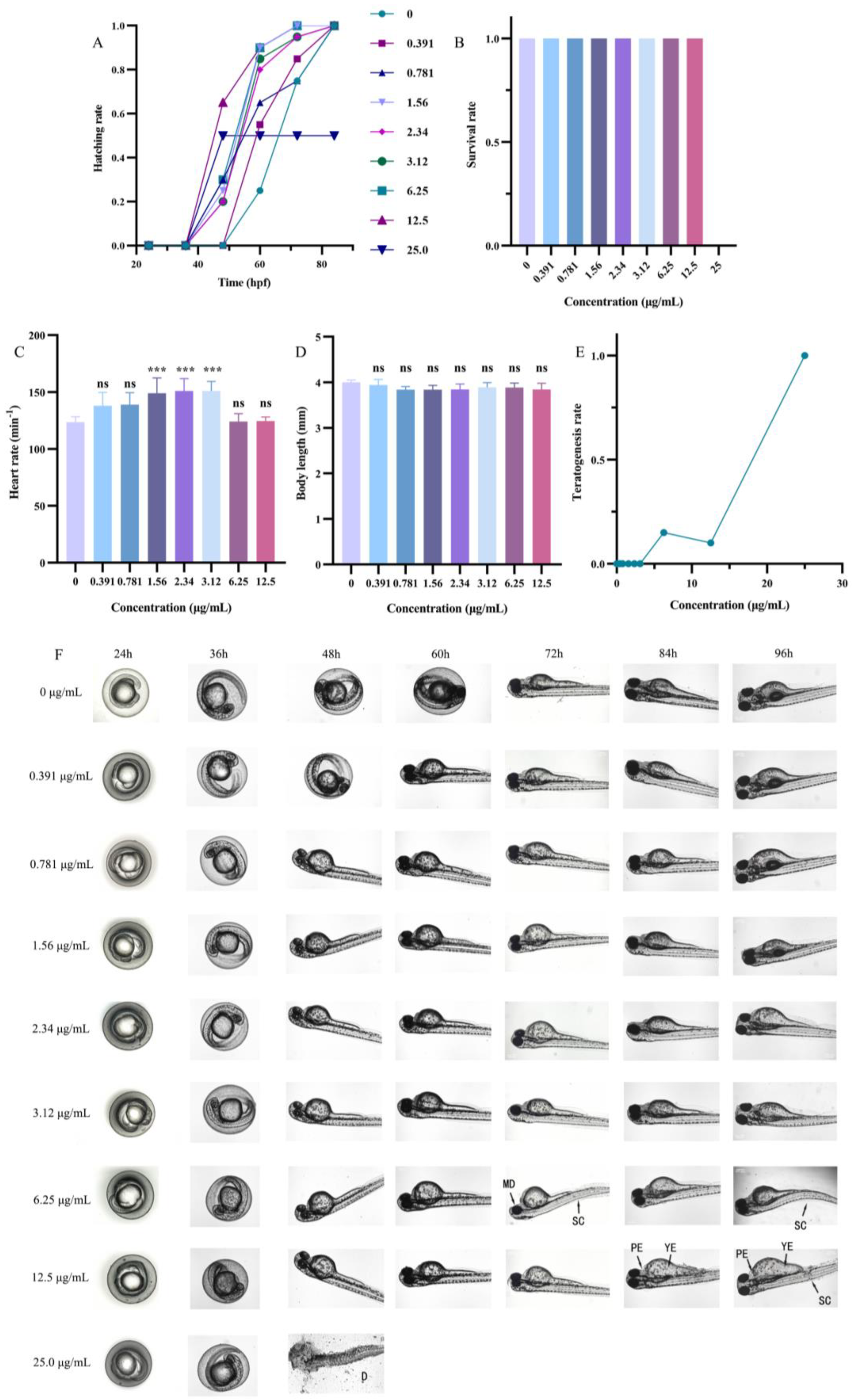 Ijms 25 05255 g004 Ijms 25 05255 g004