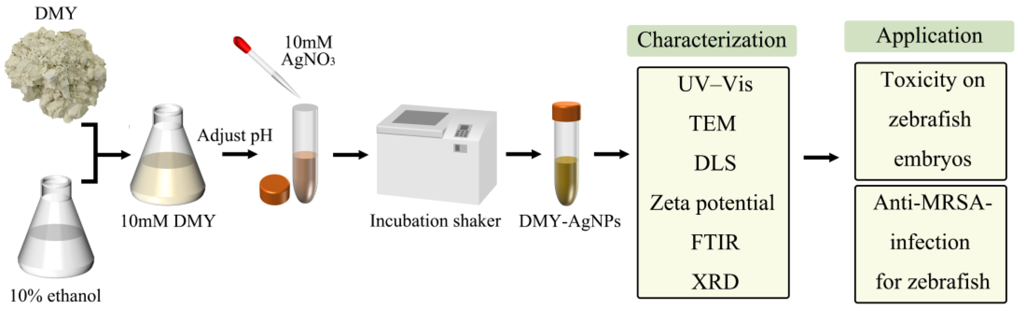 Ijms 25 05255 g006 Ijms 25 05255 g006