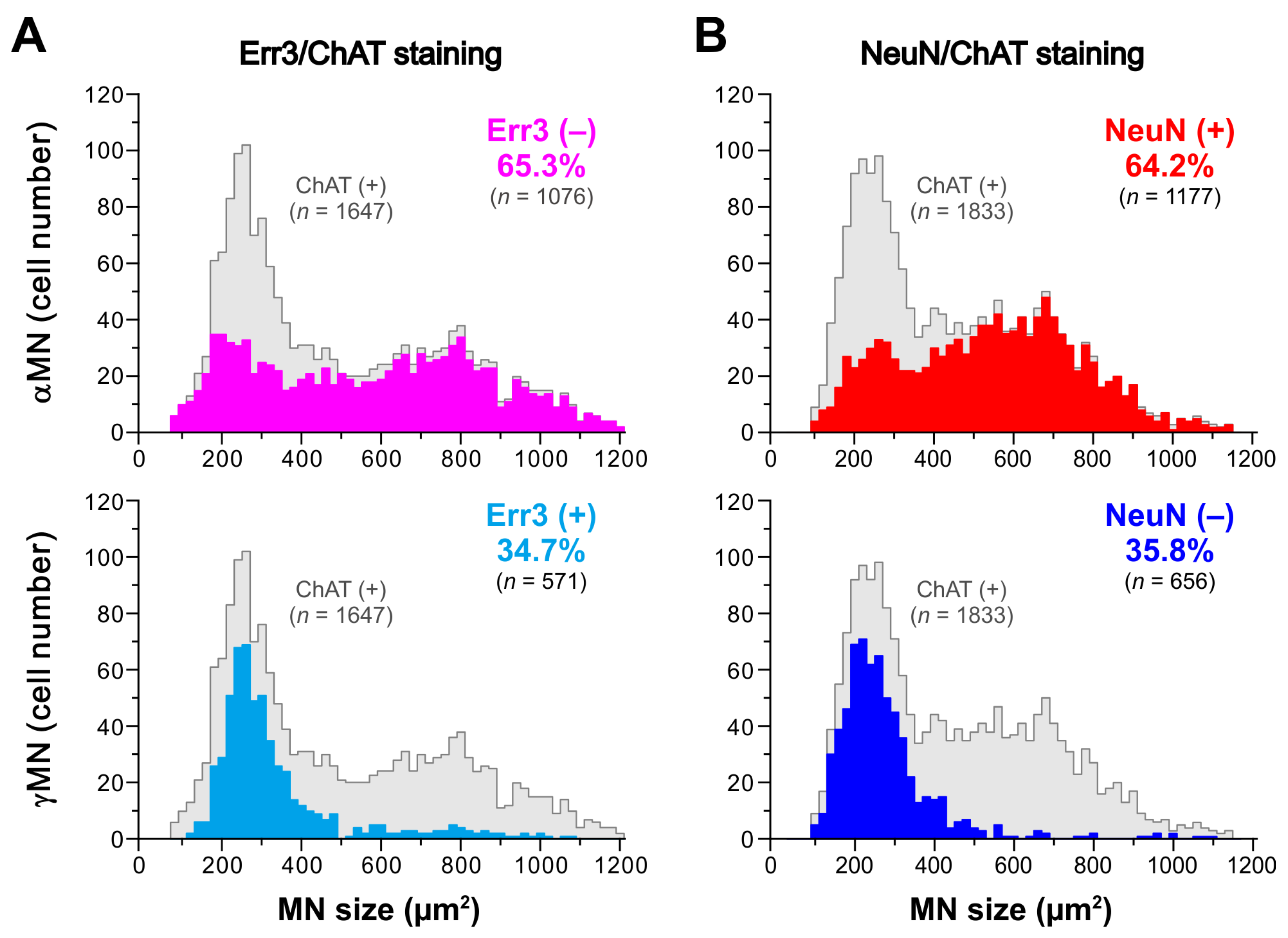 Ijms 25 05266 g004 Ijms 25 05266 g004