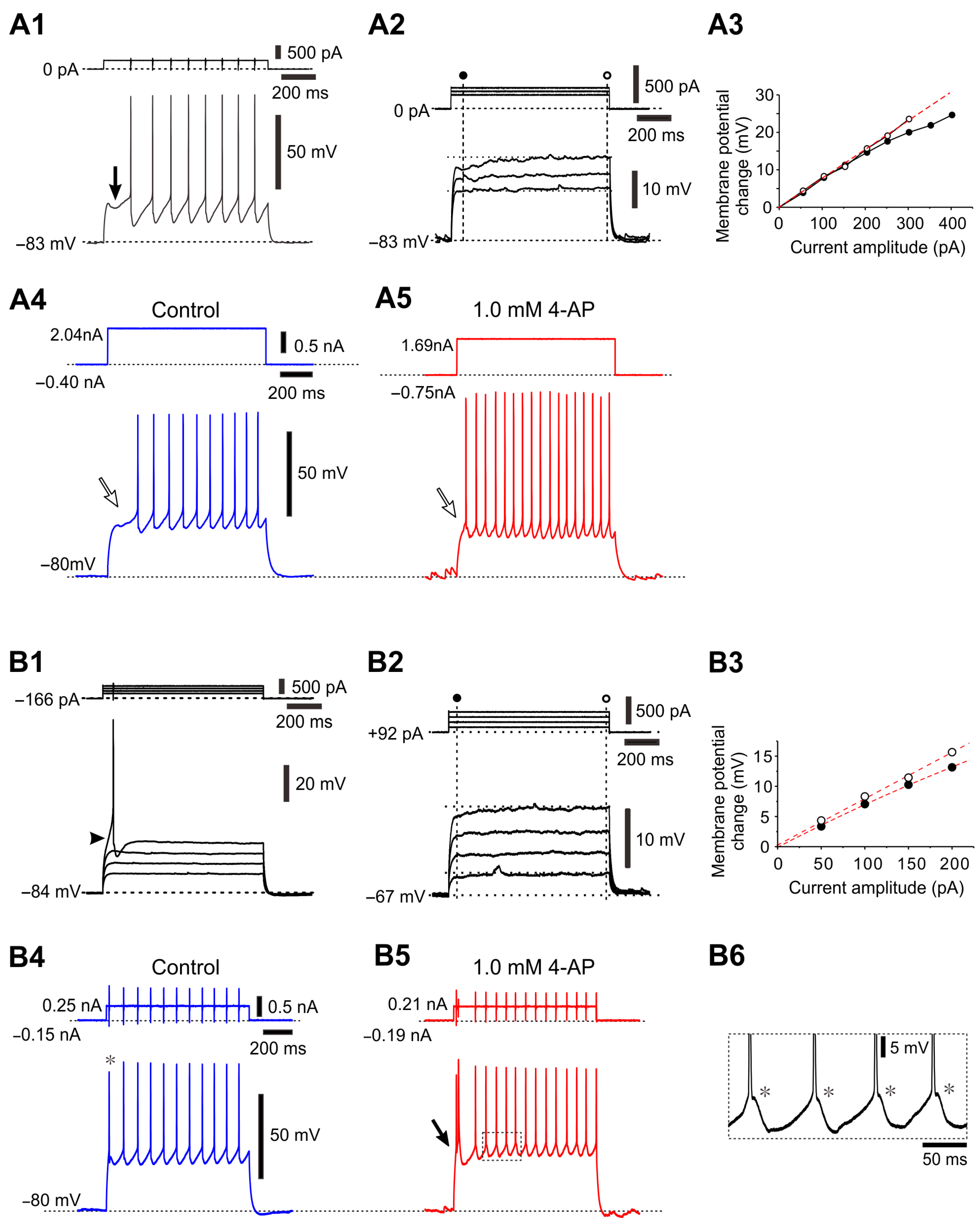 Ijms 25 05266 g006 Ijms 25 05266 g006