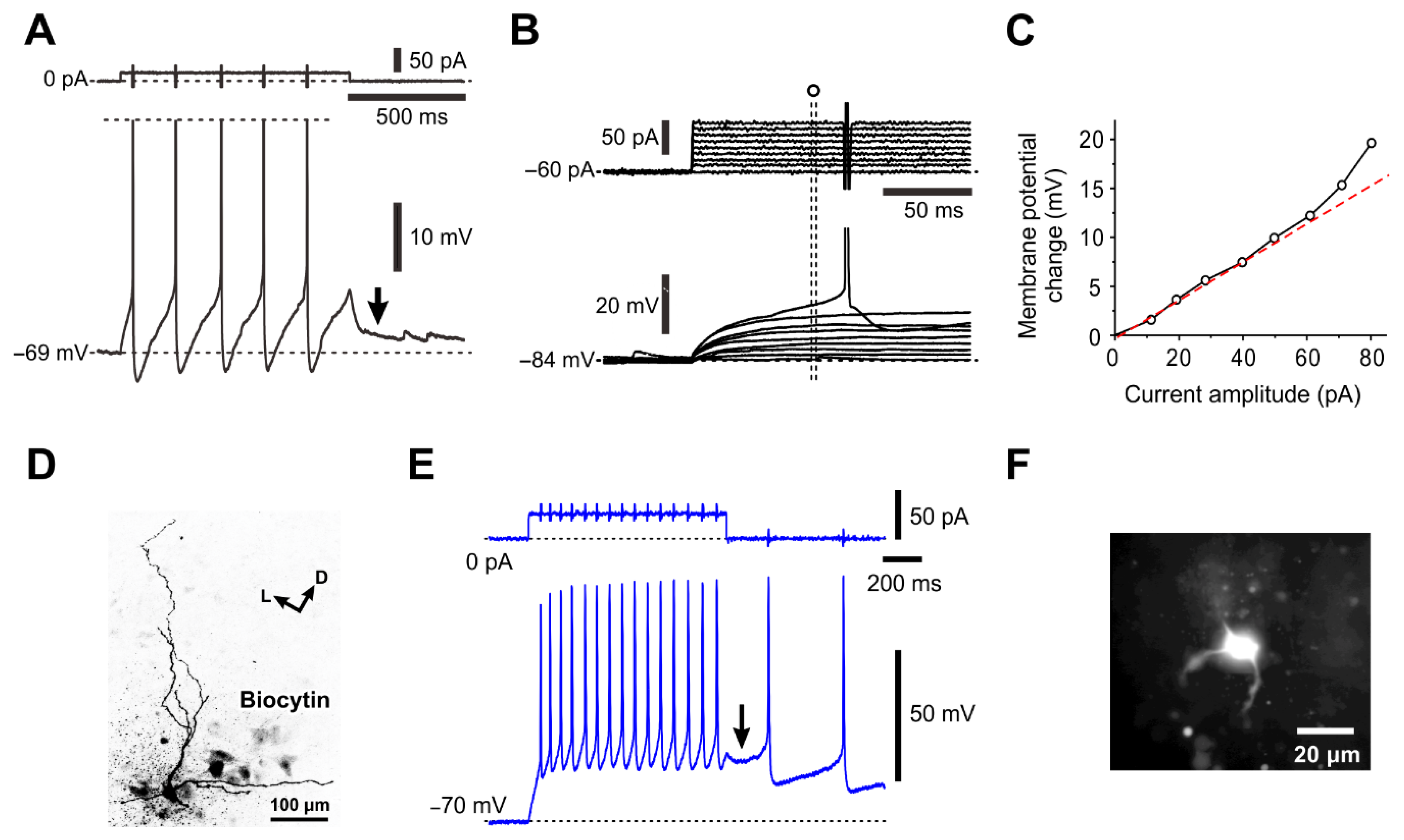 Ijms 25 05266 g007 Ijms 25 05266 g007