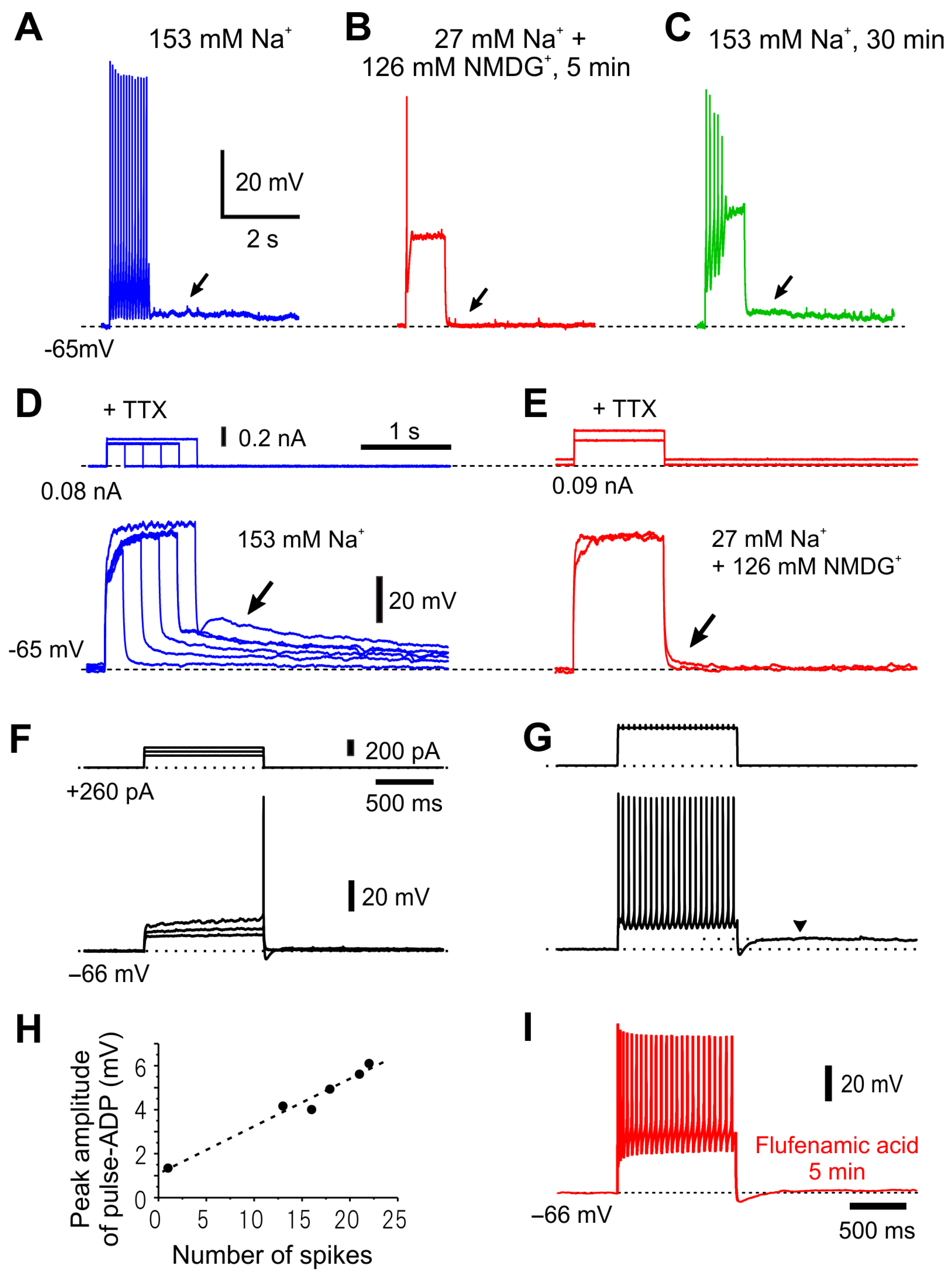 Ijms 25 05266 g008 Ijms 25 05266 g008
