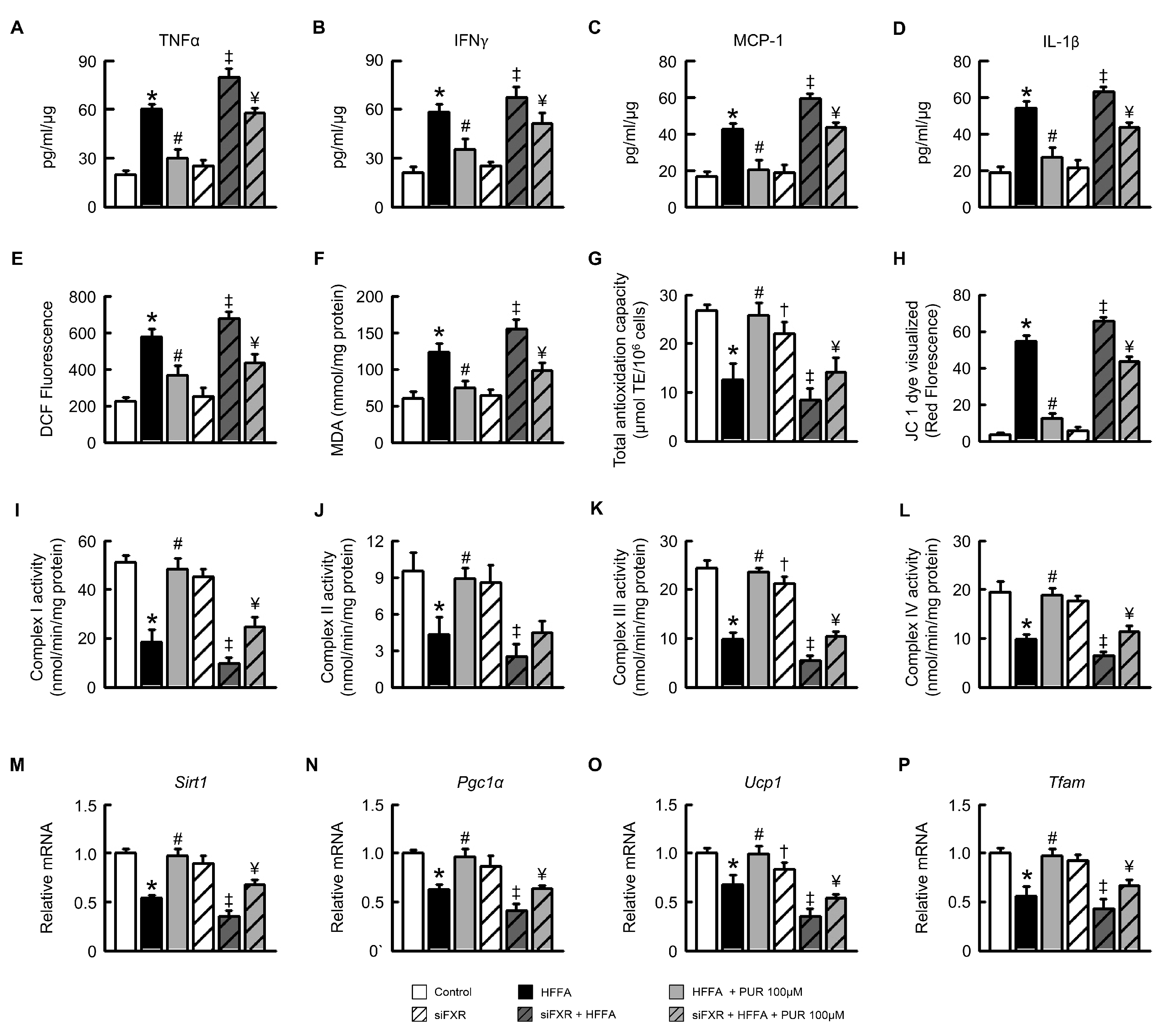 Ijms 25 05274 g003 Ijms 25 05274 g003