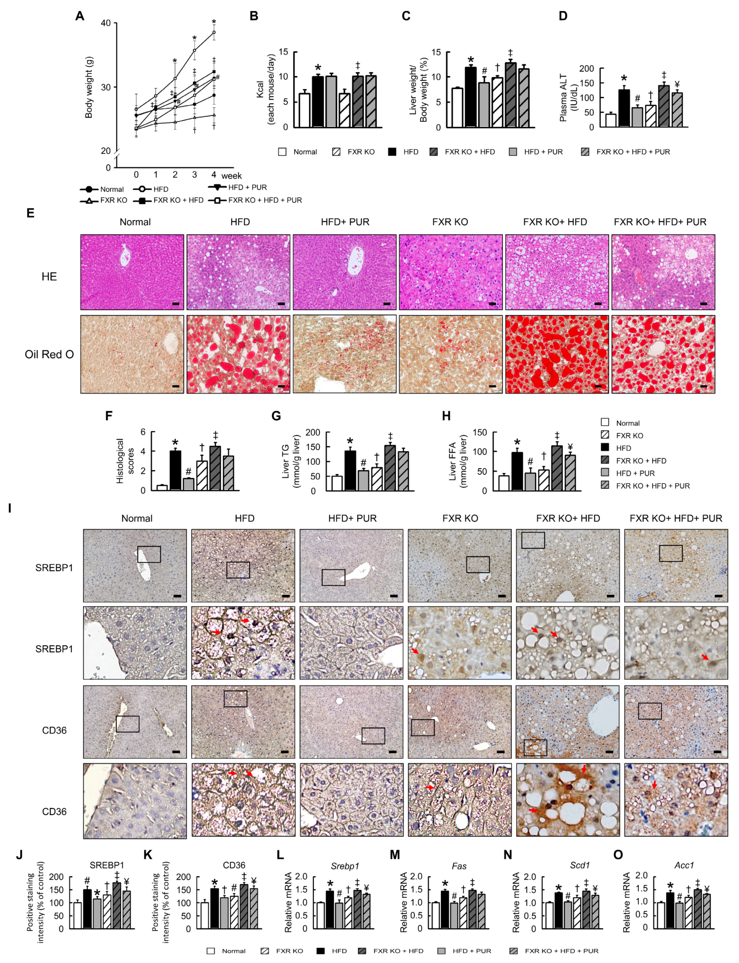 Ijms 25 05274 g004 Ijms 25 05274 g004