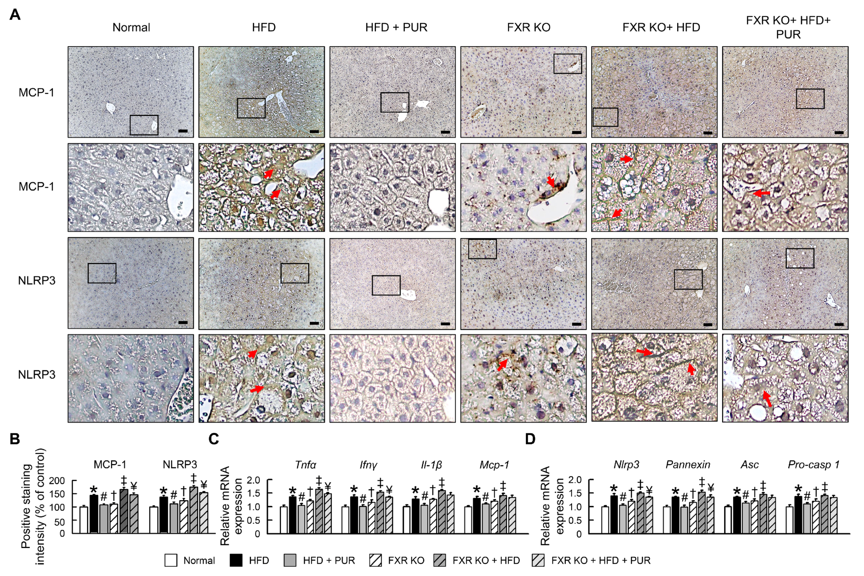 Ijms 25 05274 g005 Ijms 25 05274 g005