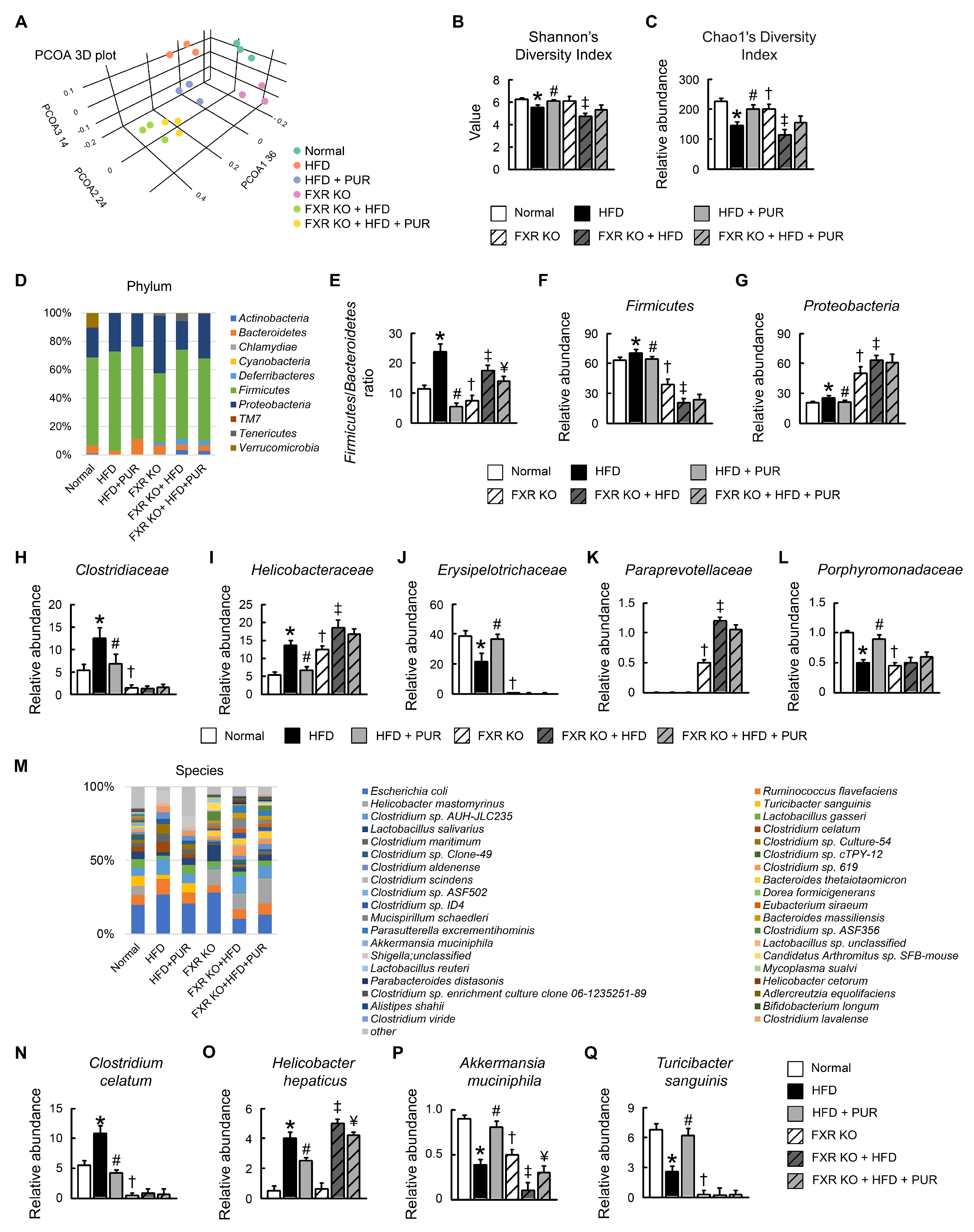 Ijms 25 05274 g009 Ijms 25 05274 g009