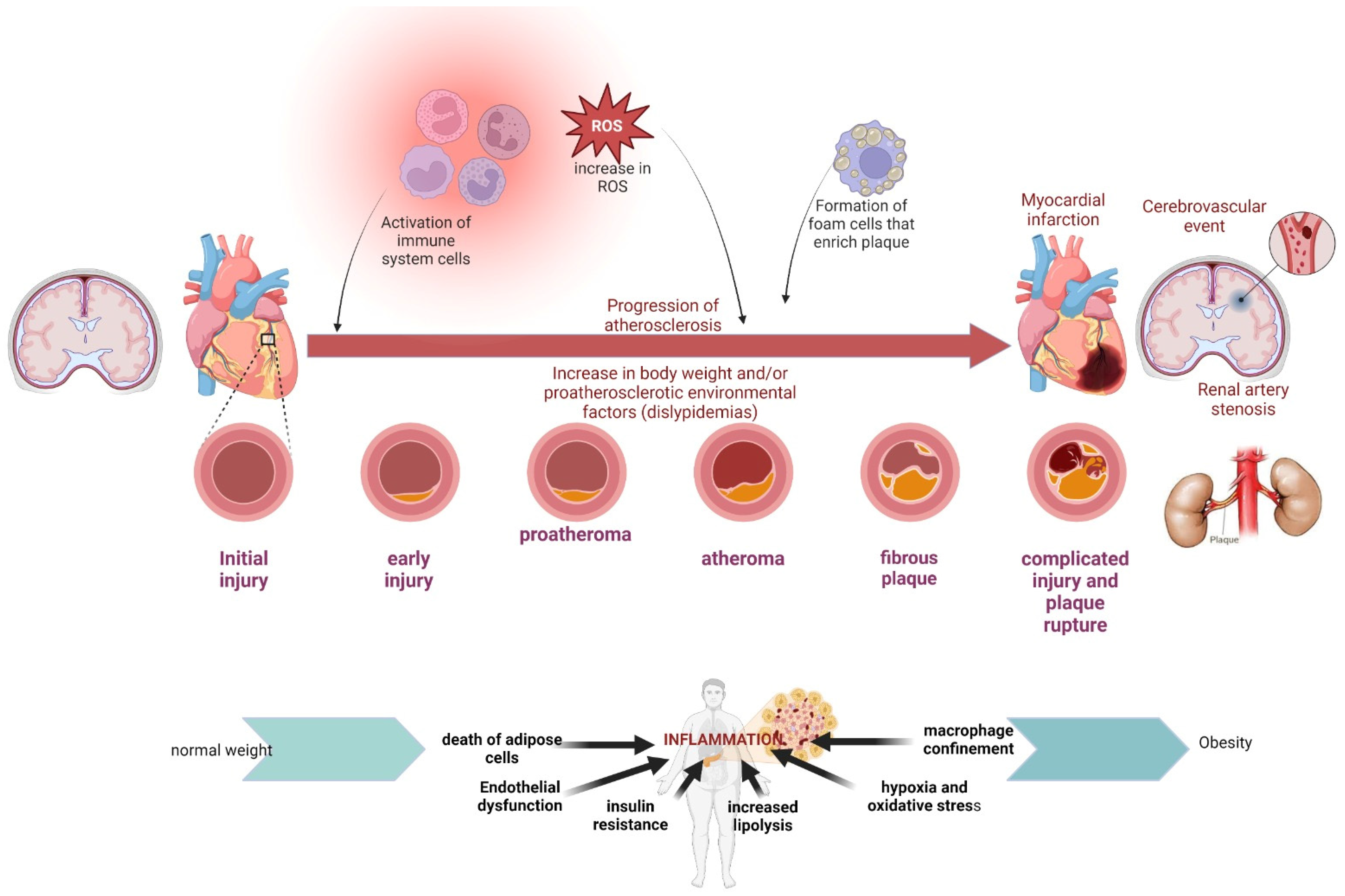 Ijms 25 05276 g003 Ijms 25 05276 g003