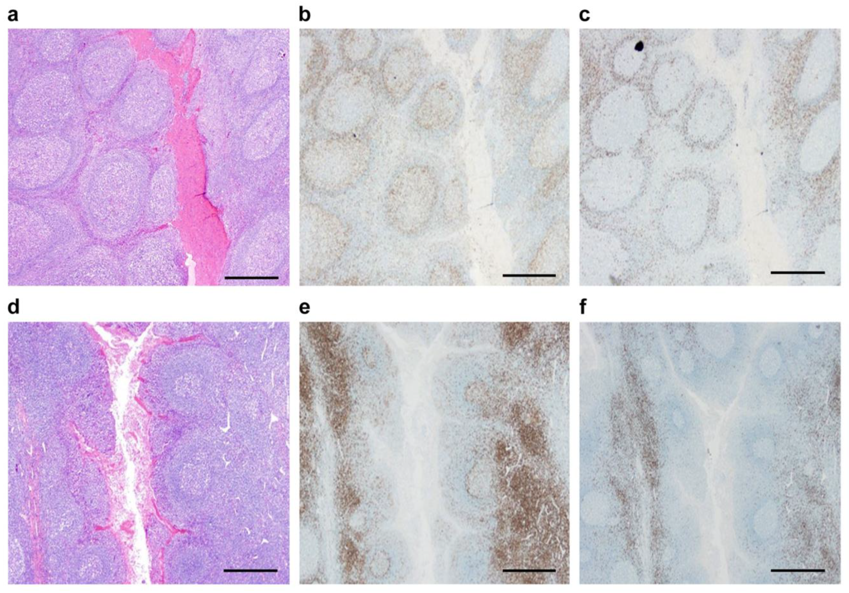 Ijms 25 05298 g001 Ijms 25 05298 g001