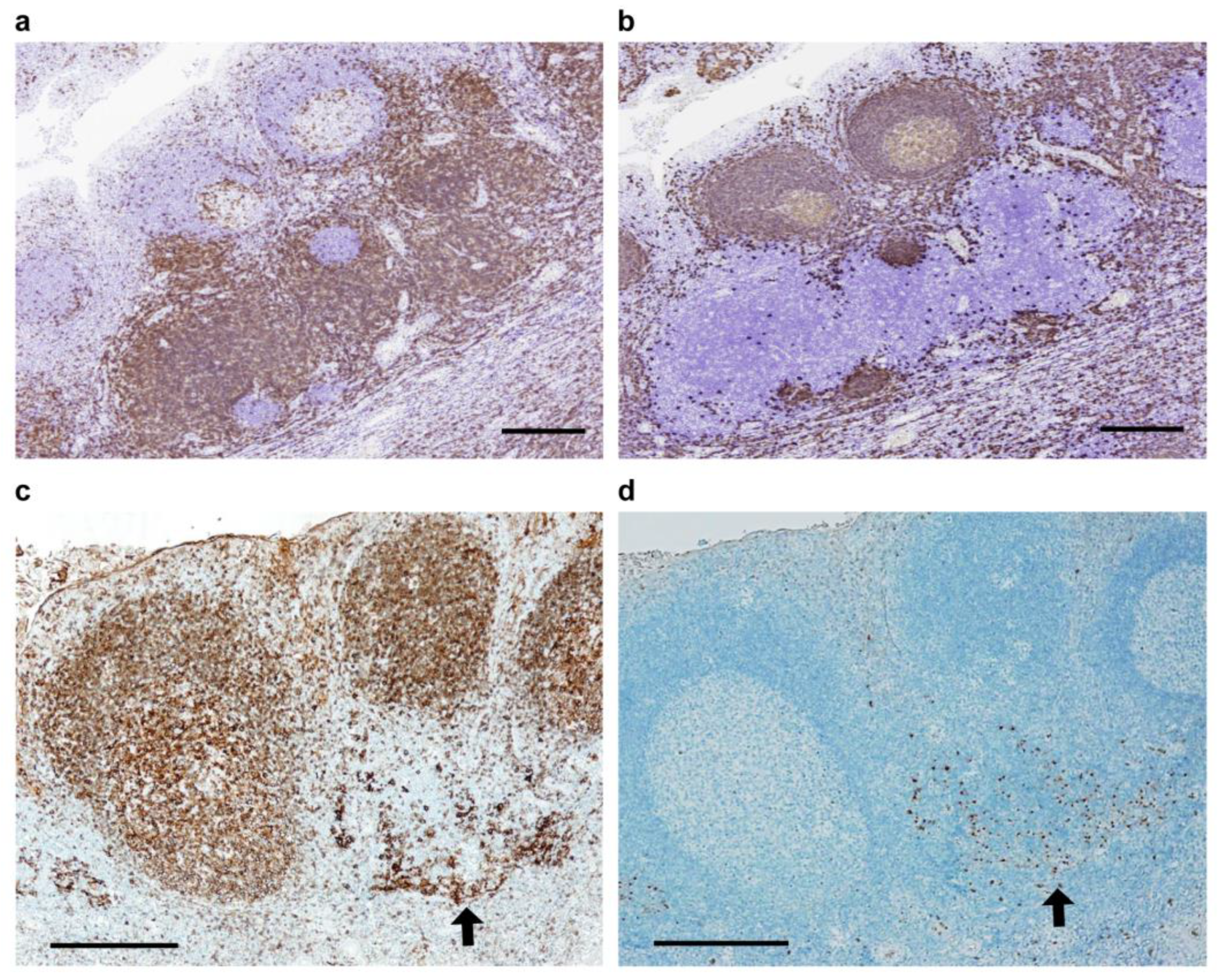 Ijms 25 05298 g002 Ijms 25 05298 g002