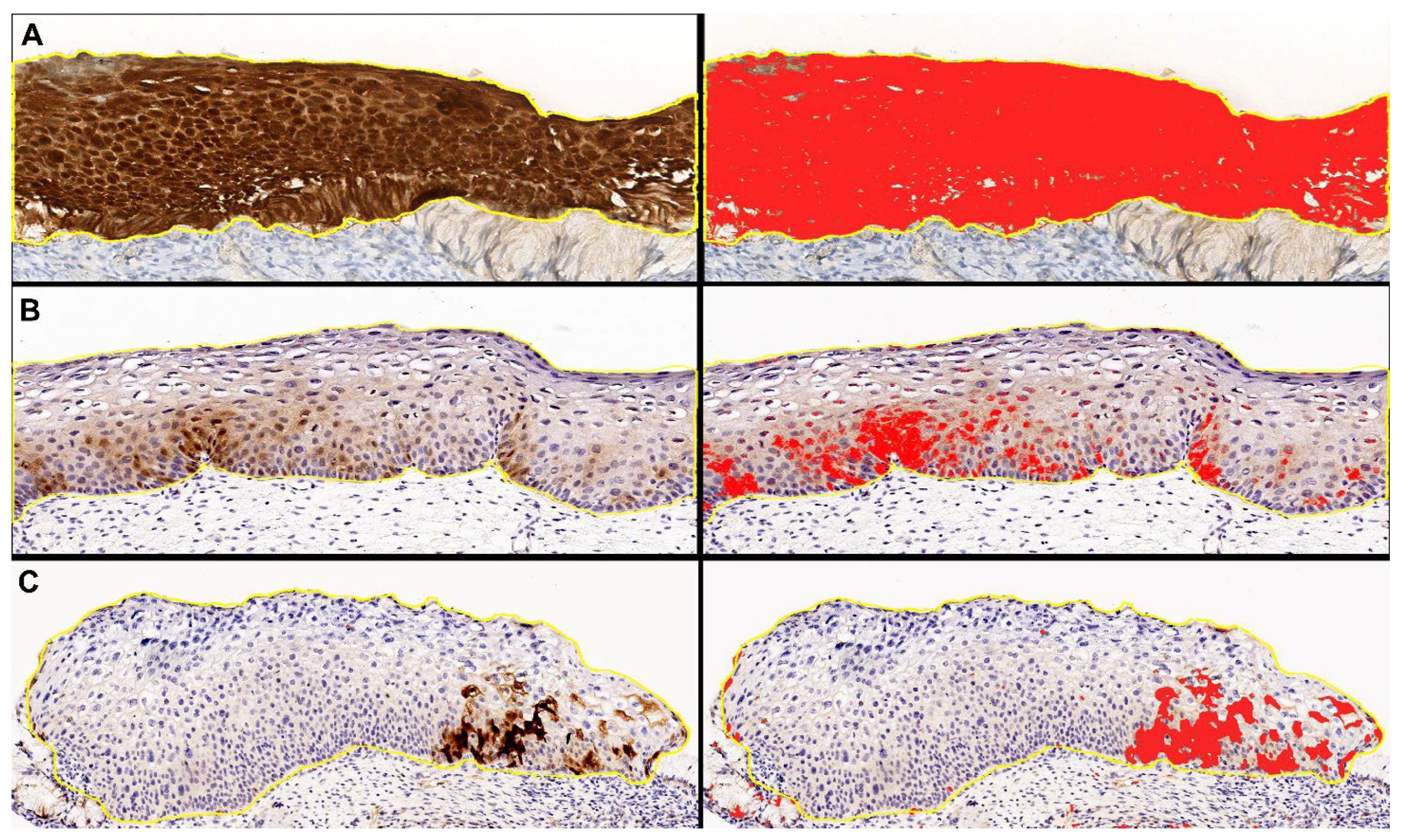 Ijms 25 05354 g007 Ijms 25 05354 g007