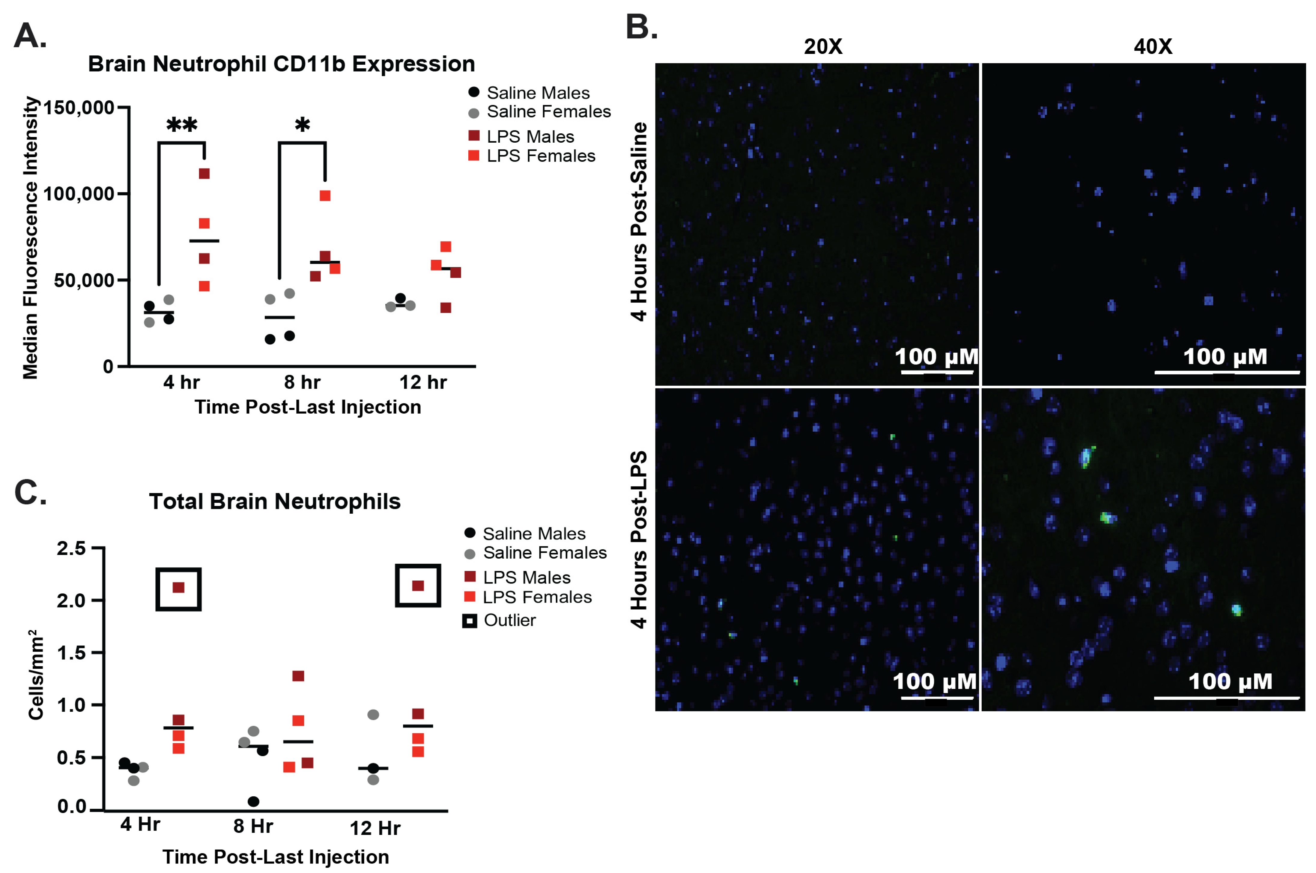 Ijms 25 05357 g003 Ijms 25 05357 g003