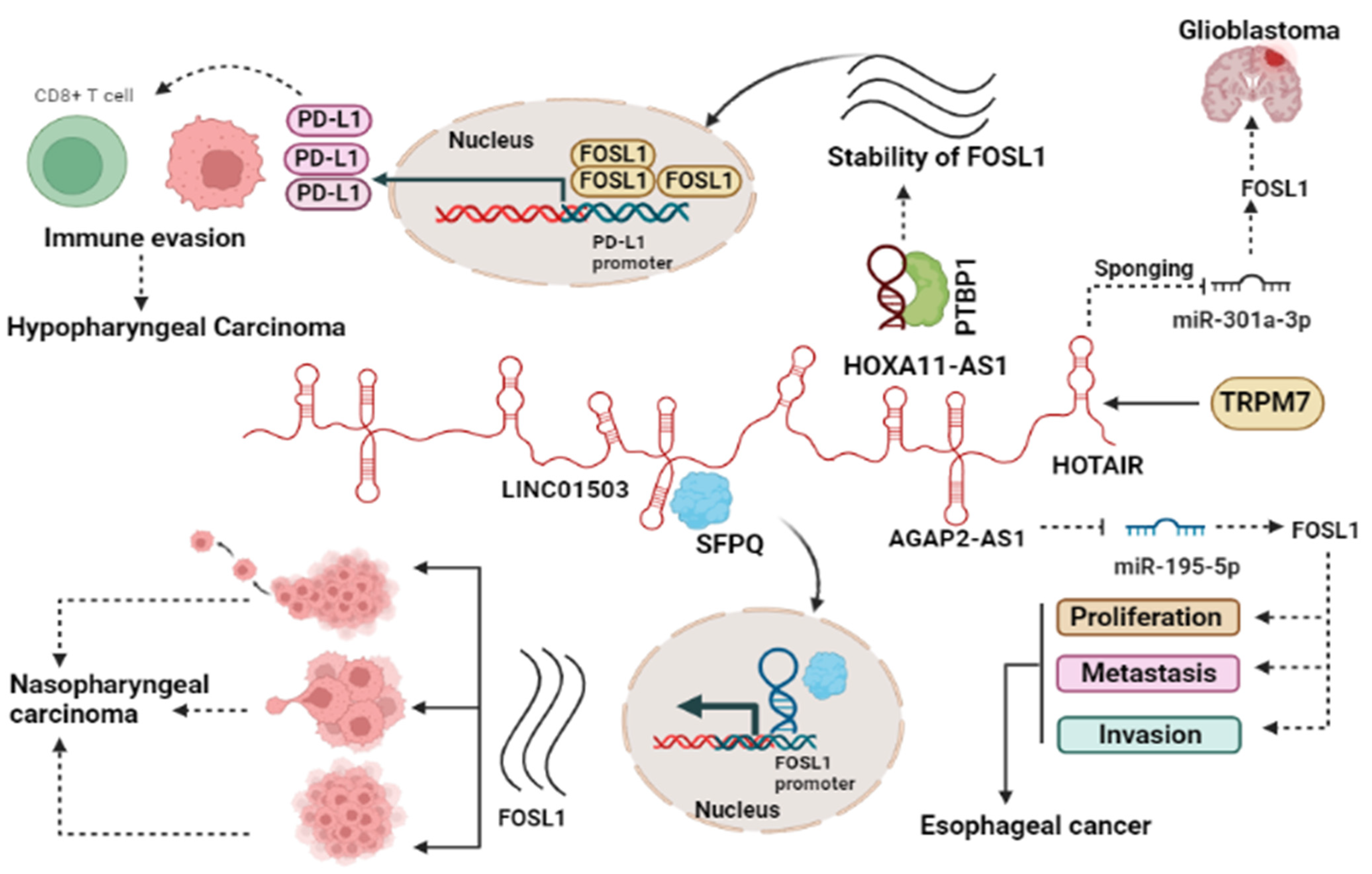 Ijms 25 05362 g002 Ijms 25 05362 g002