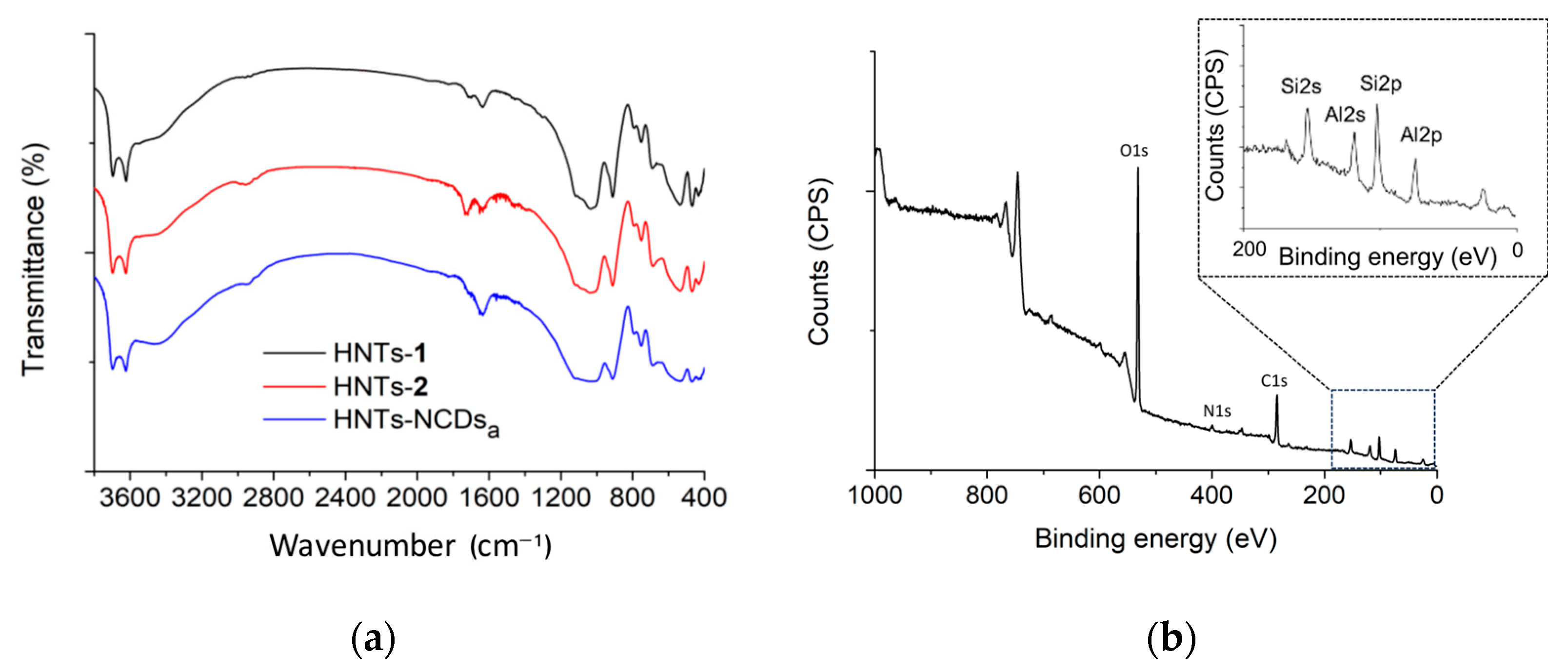 Ijms 25 05370 g001a Ijms 25 05370 g001a
