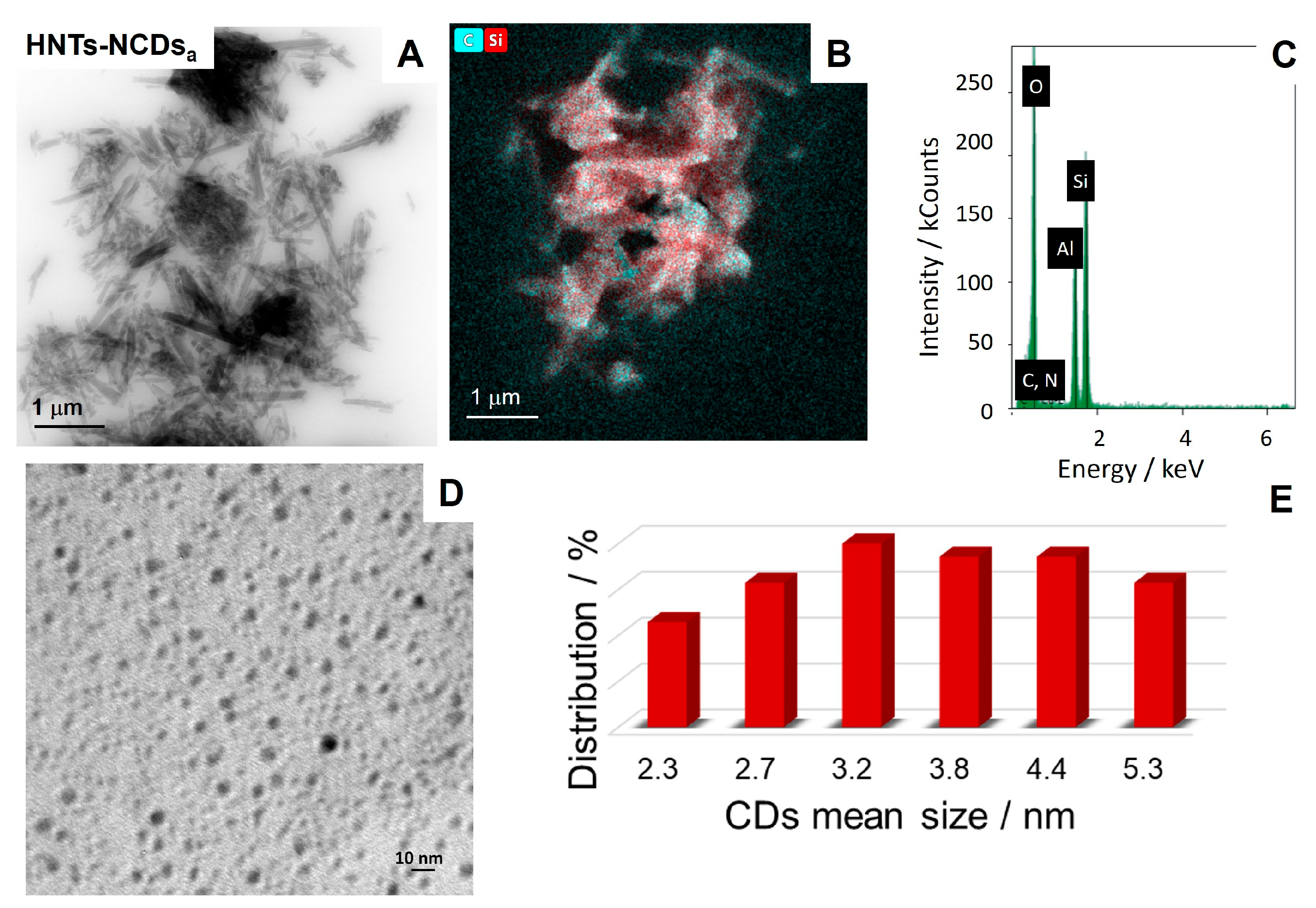 Ijms 25 05370 g002 Ijms 25 05370 g002