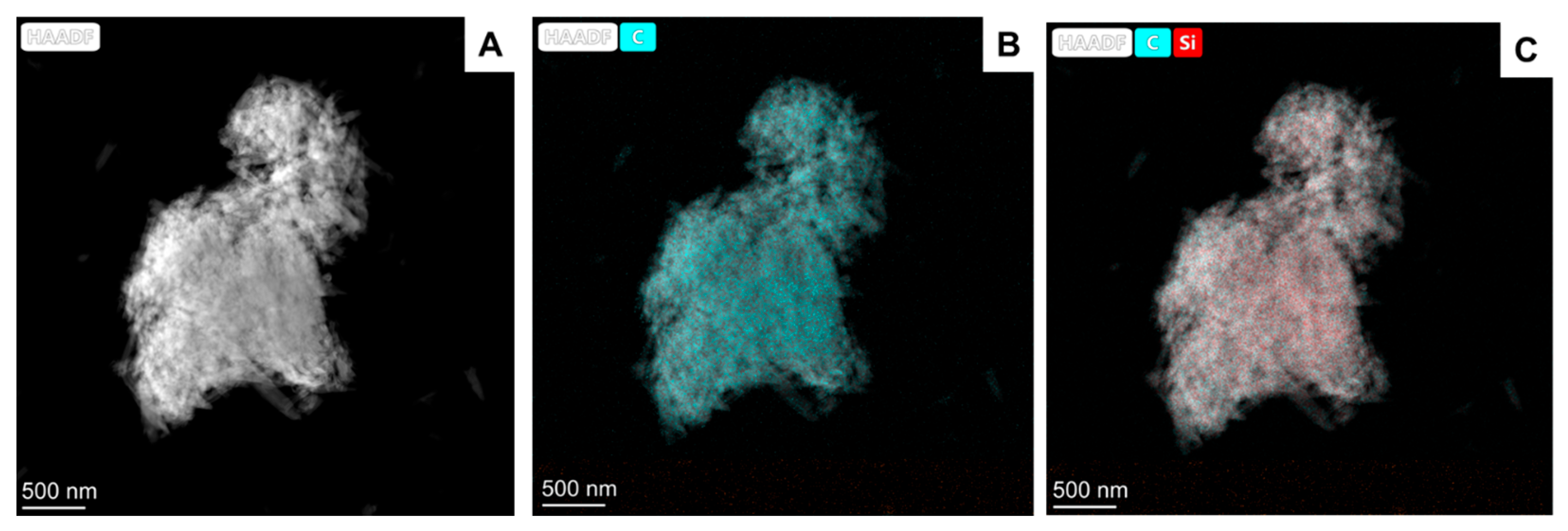 Ijms 25 05370 g003 Ijms 25 05370 g003