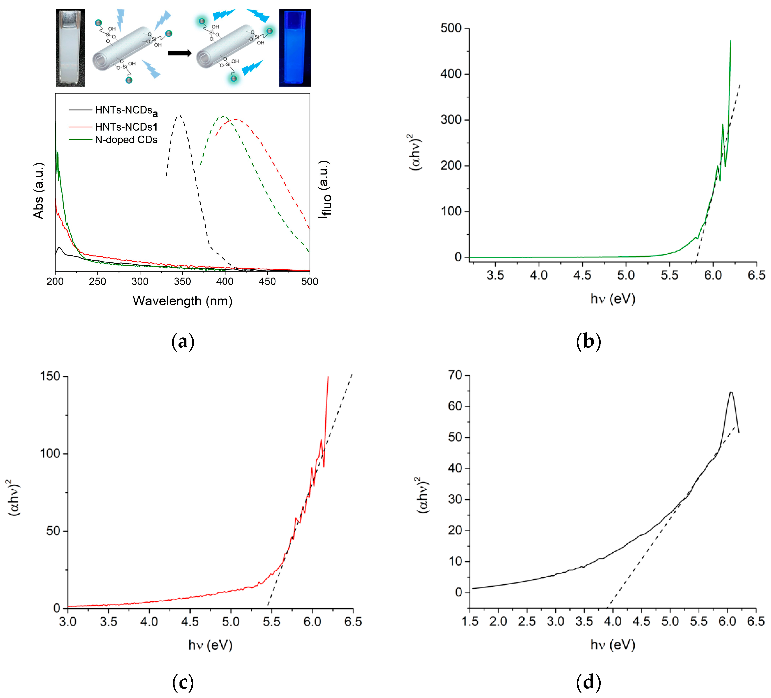 Ijms 25 05370 g004 Ijms 25 05370 g004