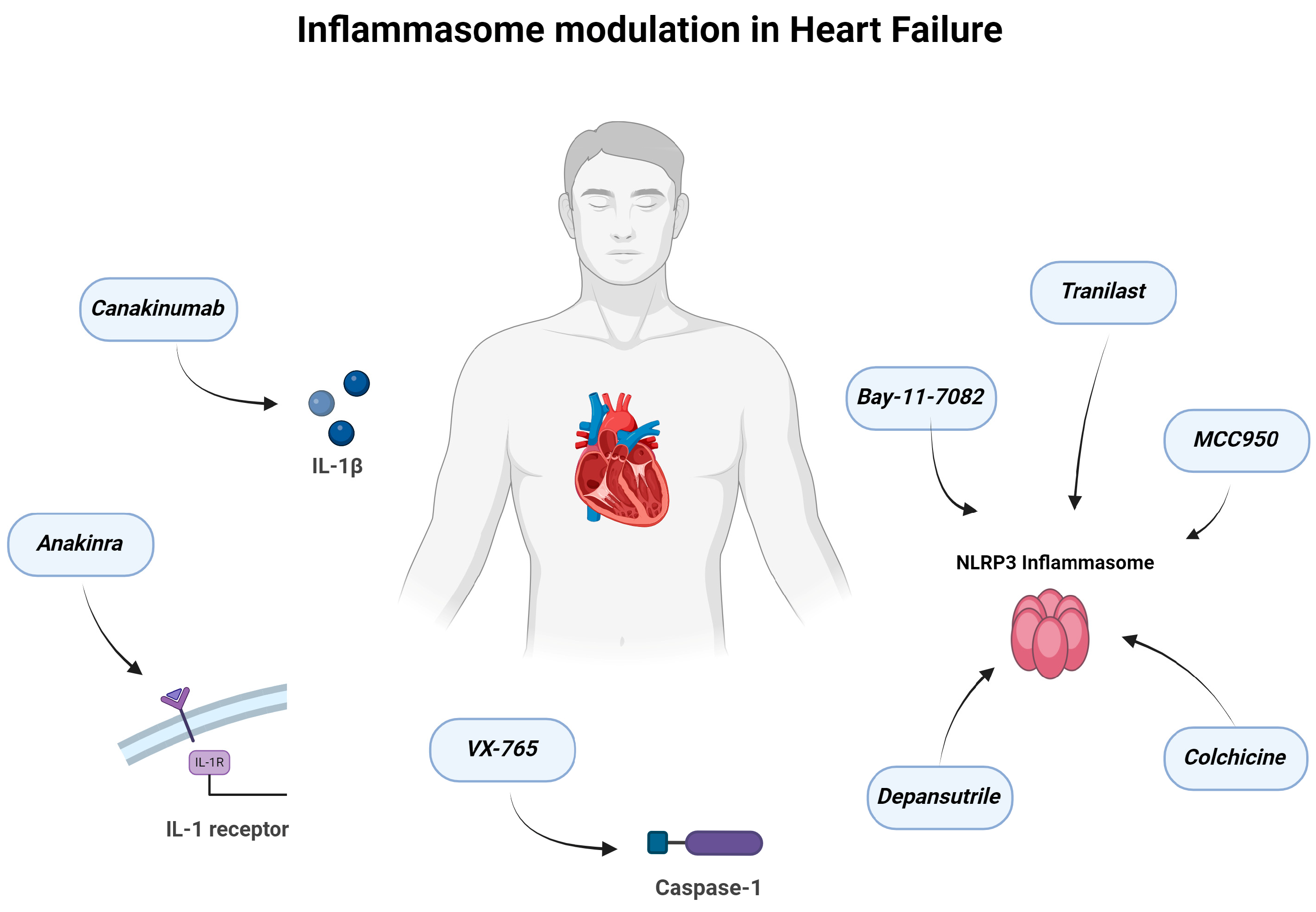 Ijms 25 05372 g002 Ijms 25 05372 g002