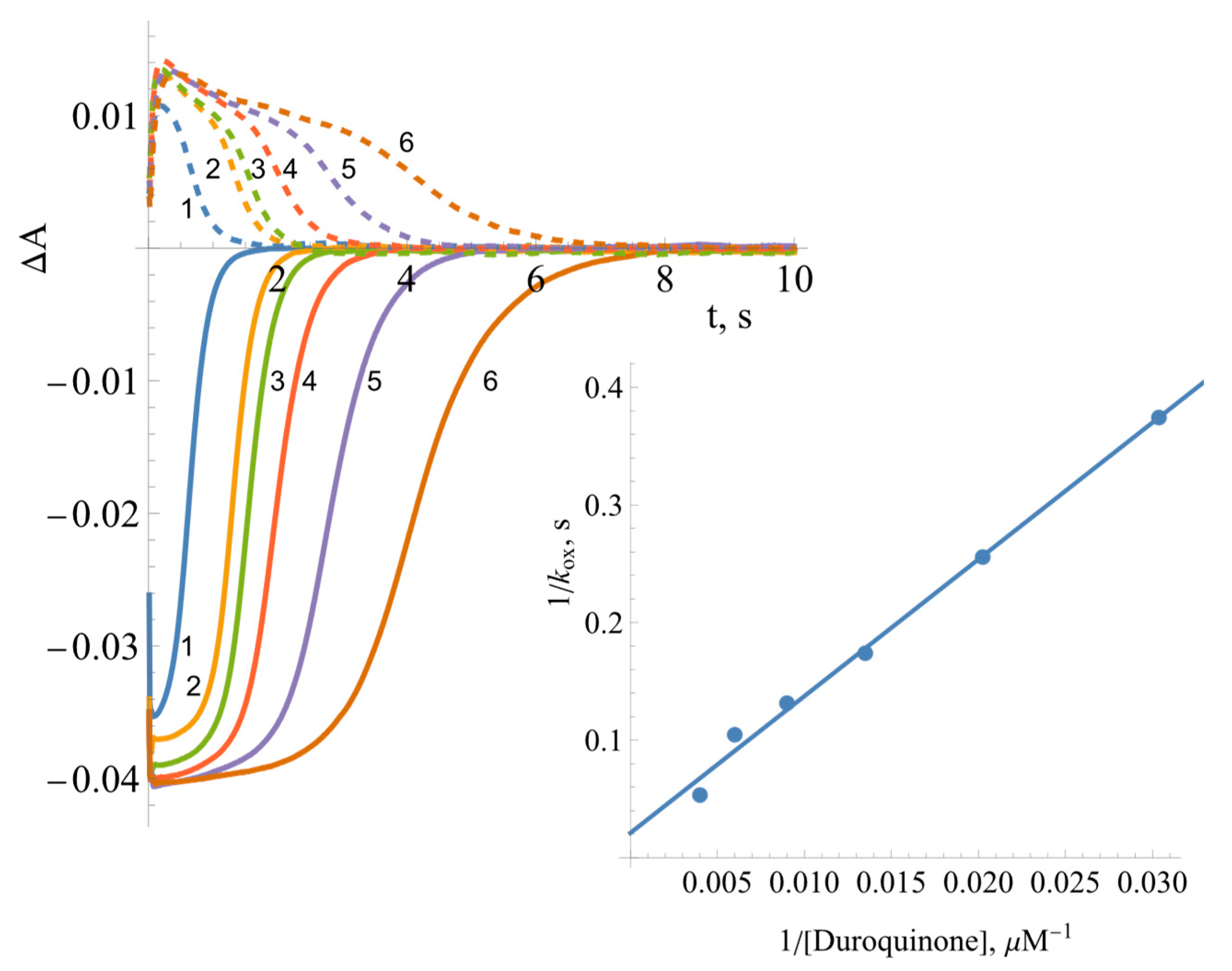 Ijms 25 05373 g008 Ijms 25 05373 g008