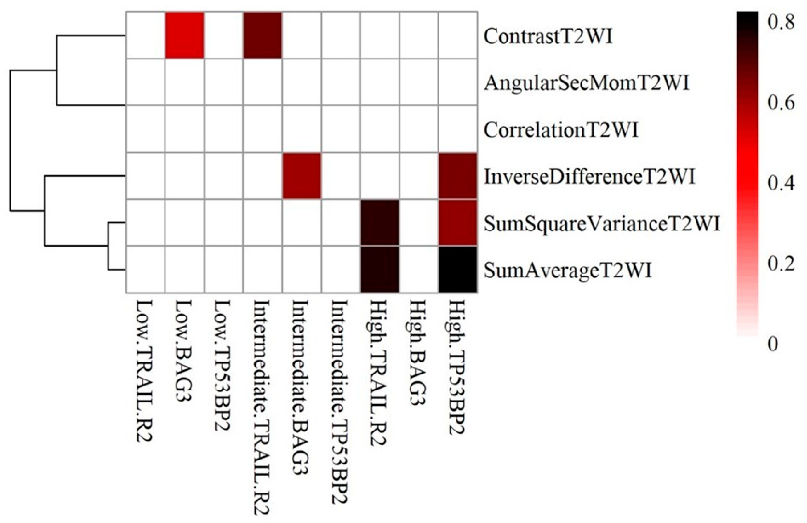 Ijms 25 05379 g005 Ijms 25 05379 g005
