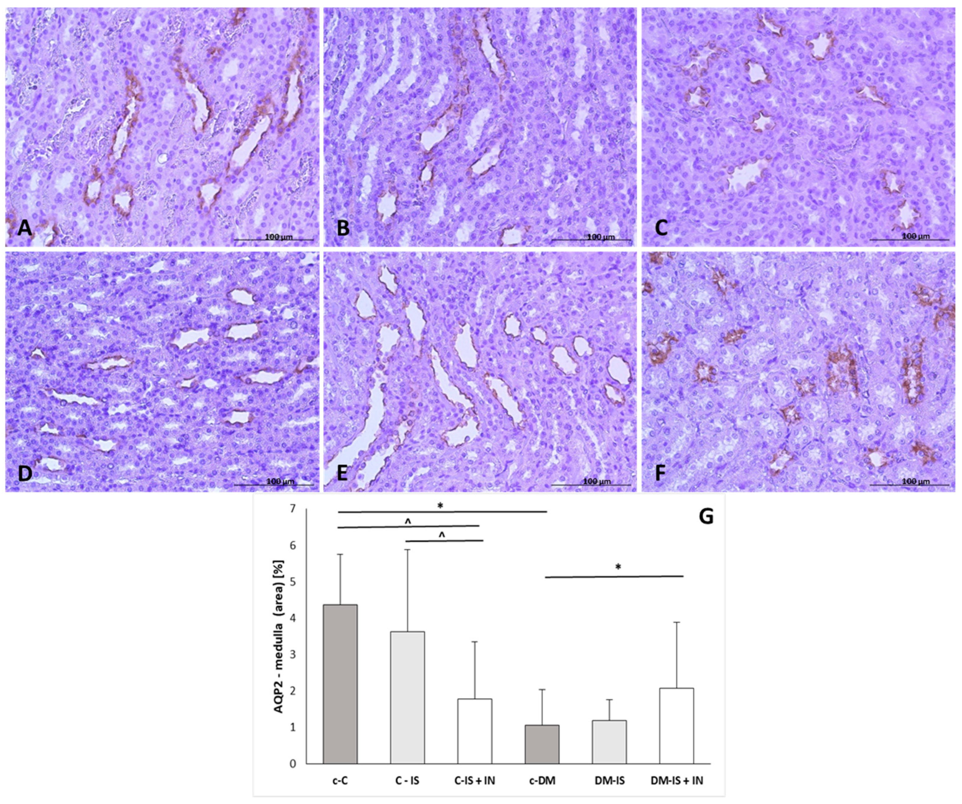 Ijms 25 05418 g005 Ijms 25 05418 g005