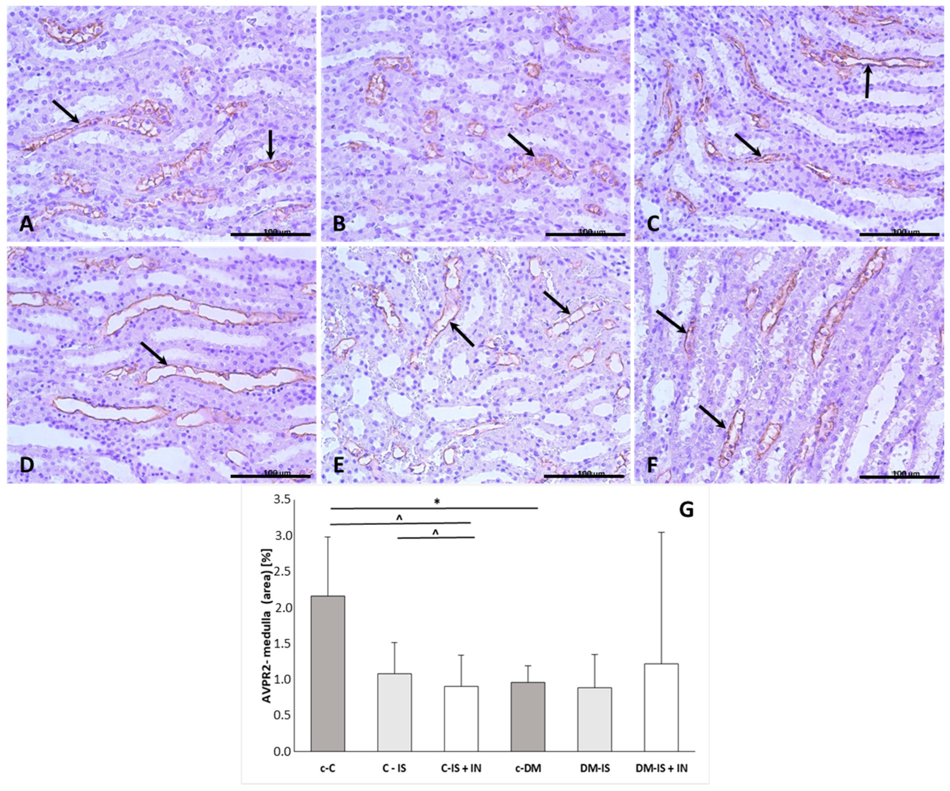 Ijms 25 05418 g006 Ijms 25 05418 g006