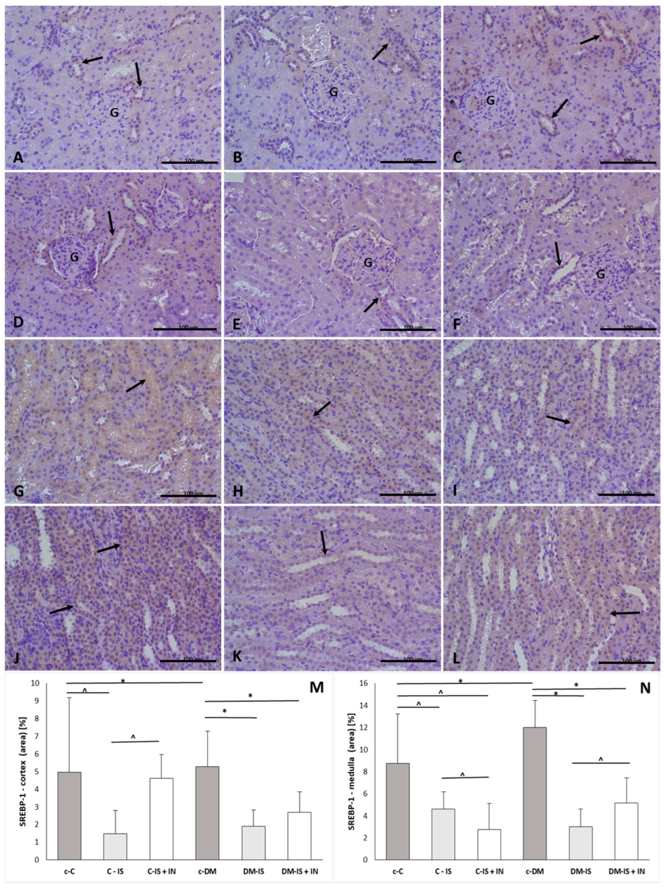 Ijms 25 05418 g009 Ijms 25 05418 g009