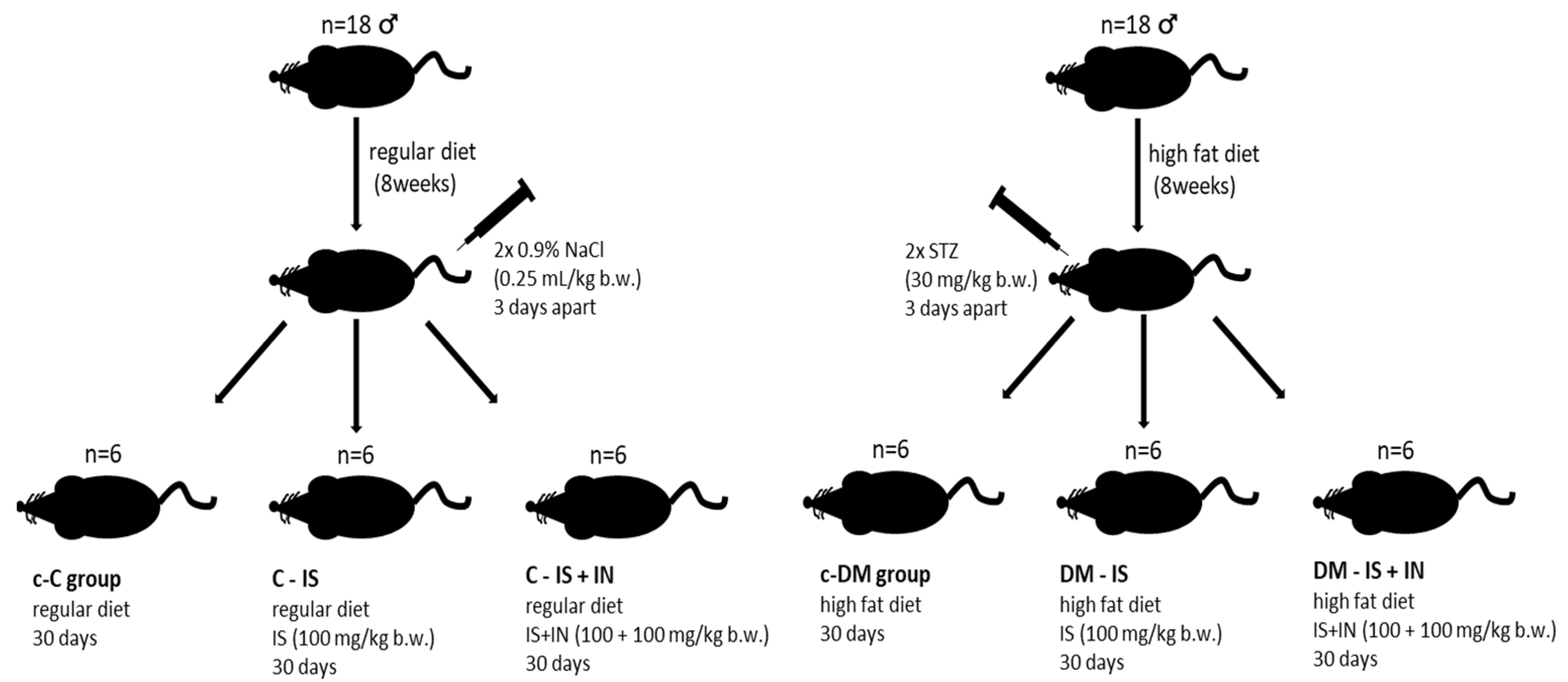 Ijms 25 05418 g012 Ijms 25 05418 g012