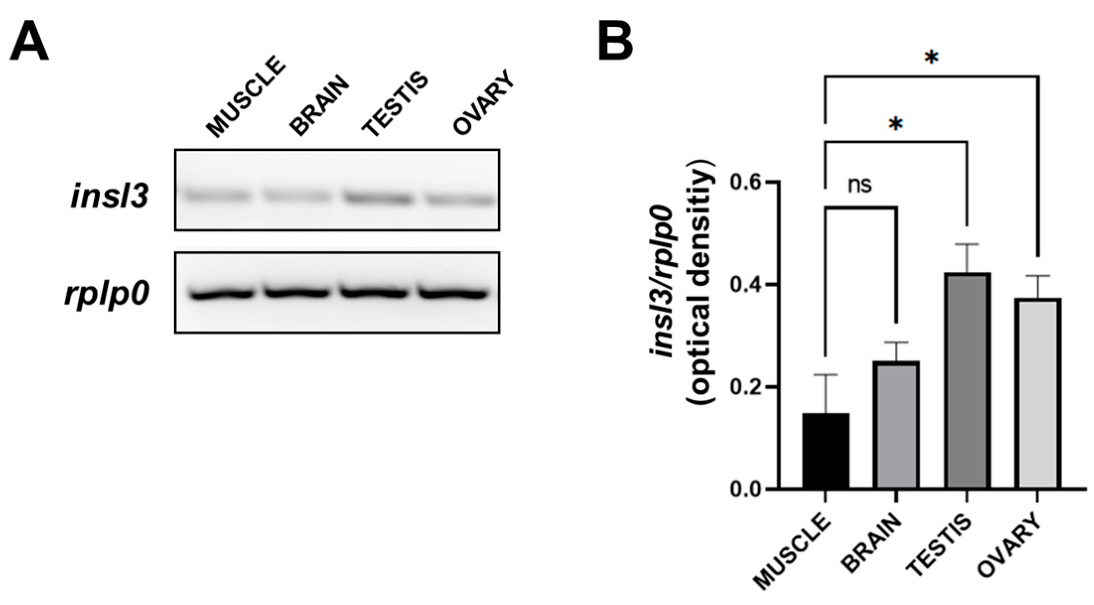 Ijms 25 05419 g001 Ijms 25 05419 g001