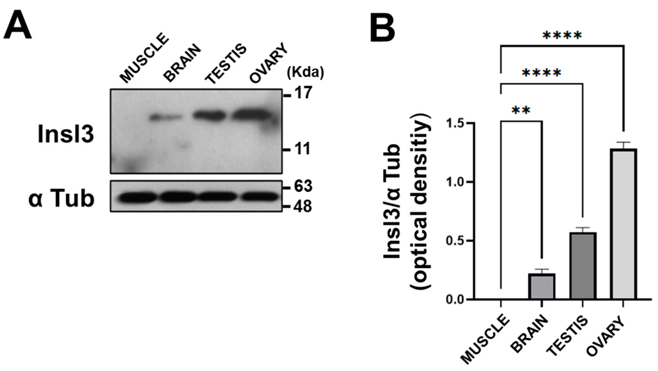 Ijms 25 05419 g002 Ijms 25 05419 g002