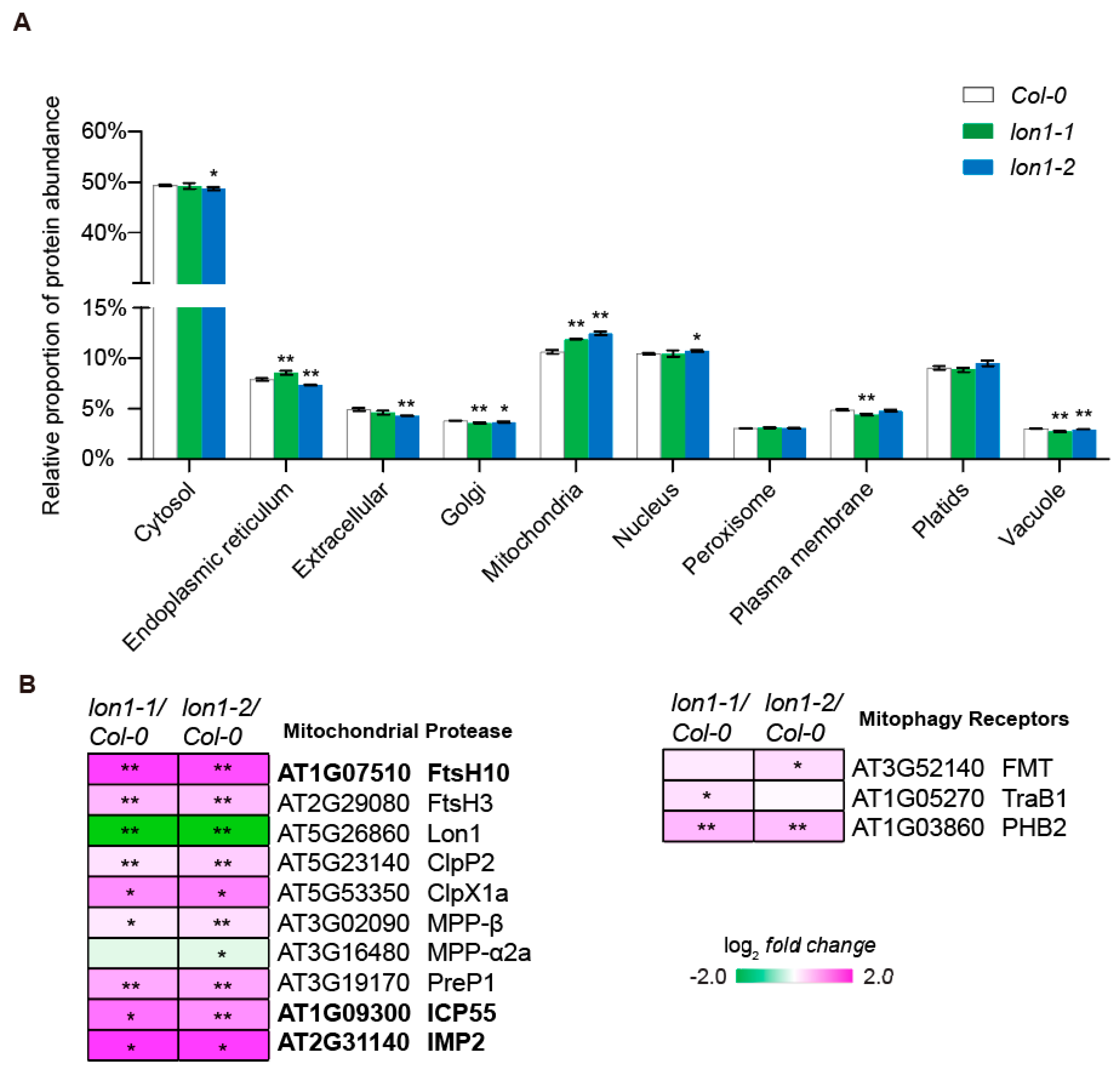 Ijms 25 05425 g002 Ijms 25 05425 g002