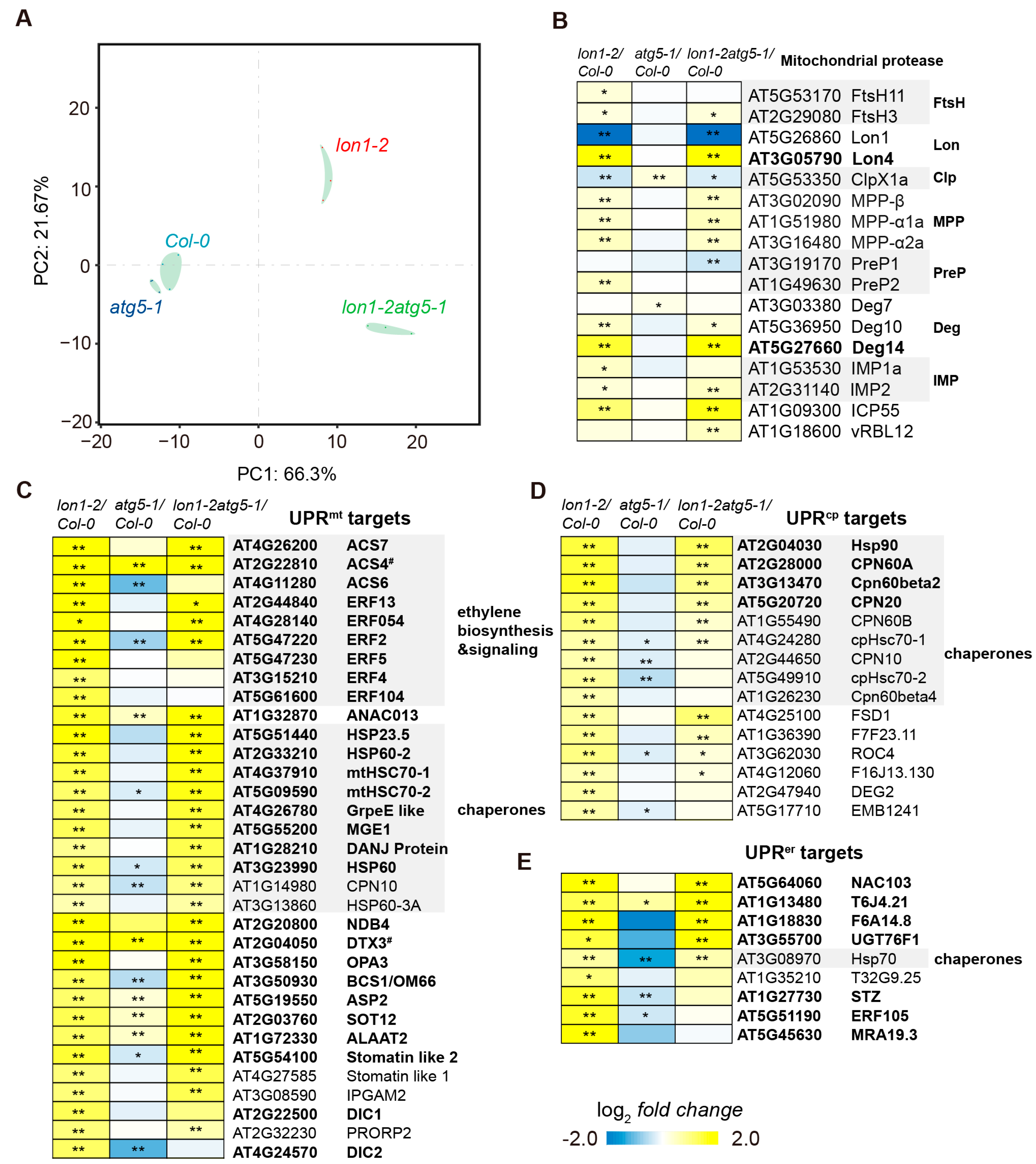 Ijms 25 05425 g003 Ijms 25 05425 g003
