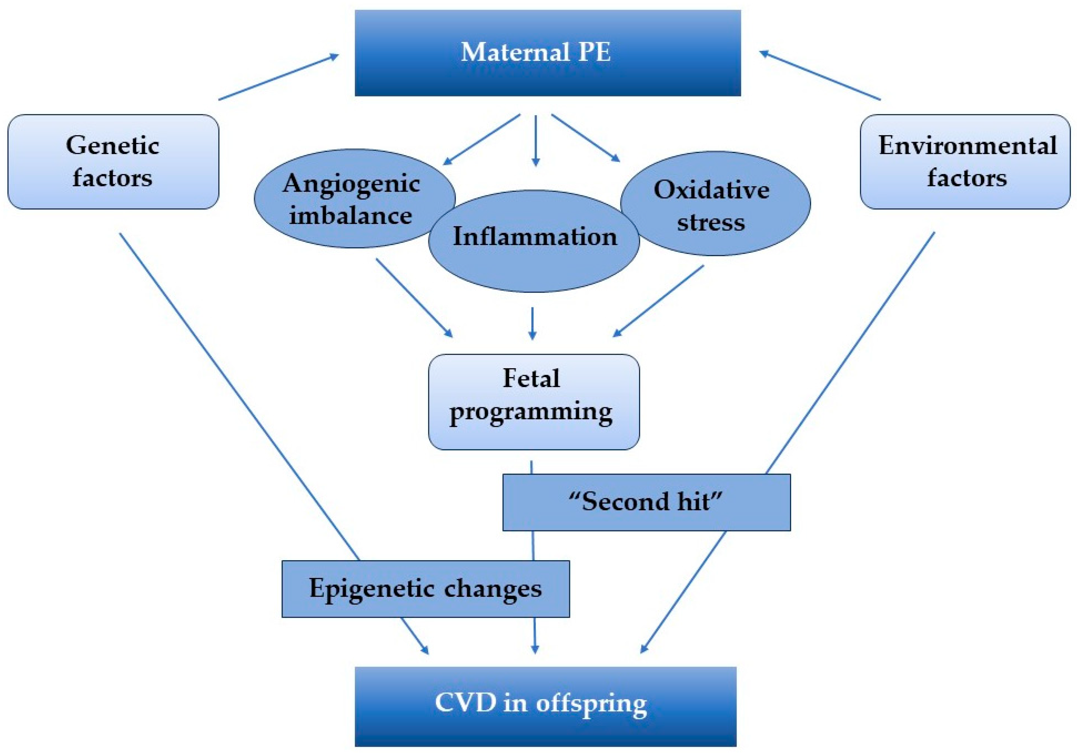 Ijms 25 05455 g001 Ijms 25 05455 g001