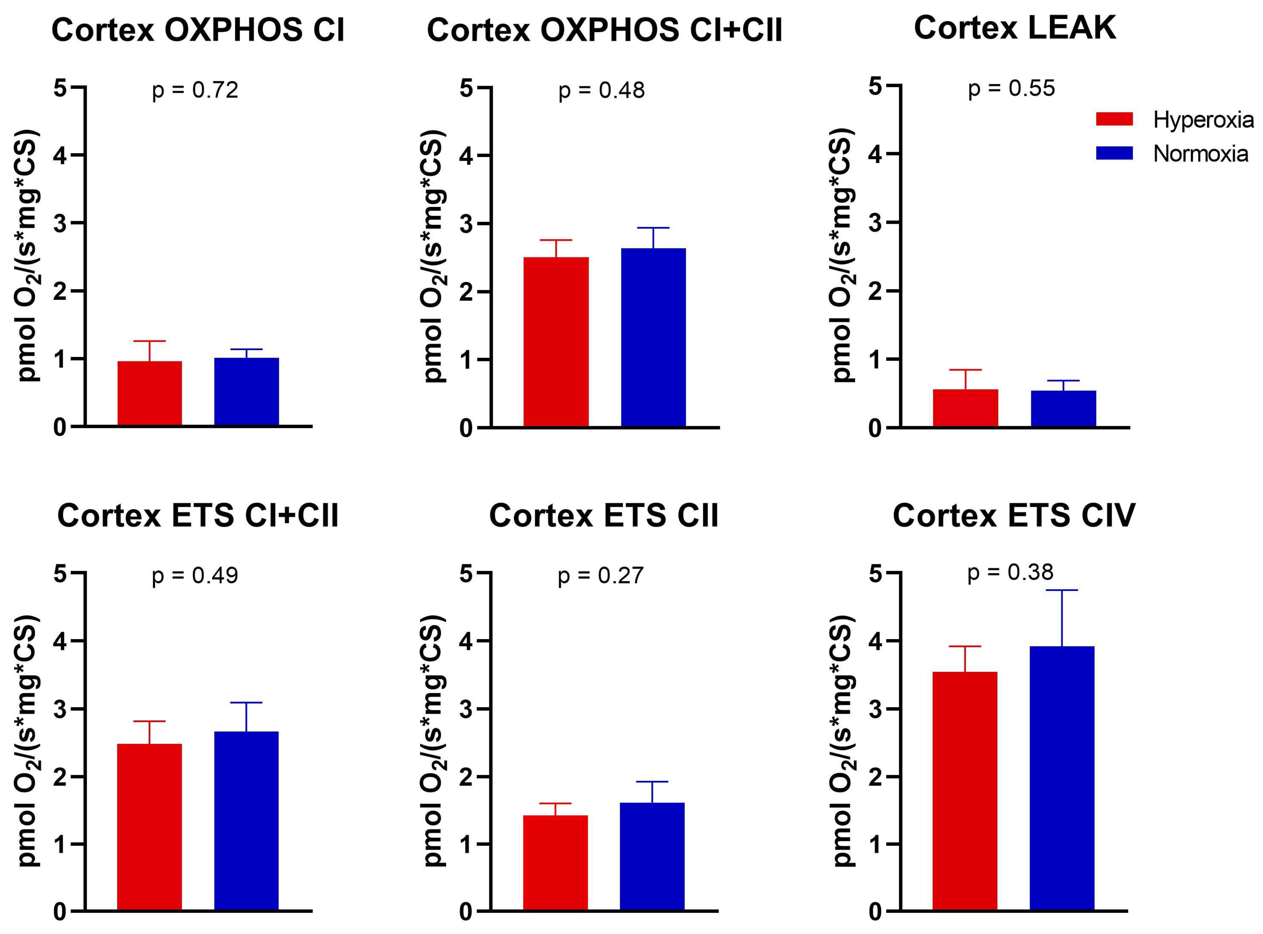Ijms 25 05466 g002 Ijms 25 05466 g002